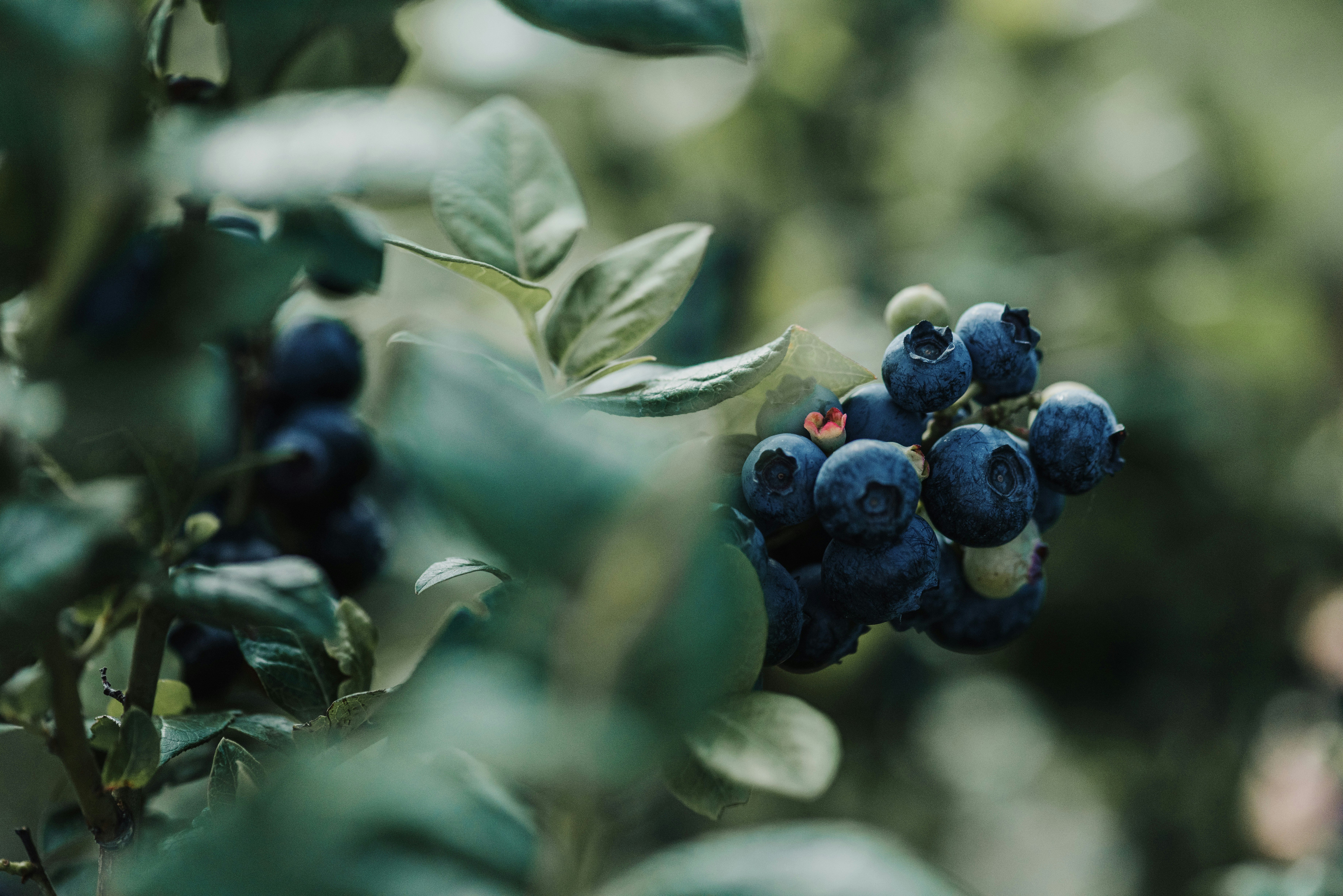 Photo by anitaaustvika