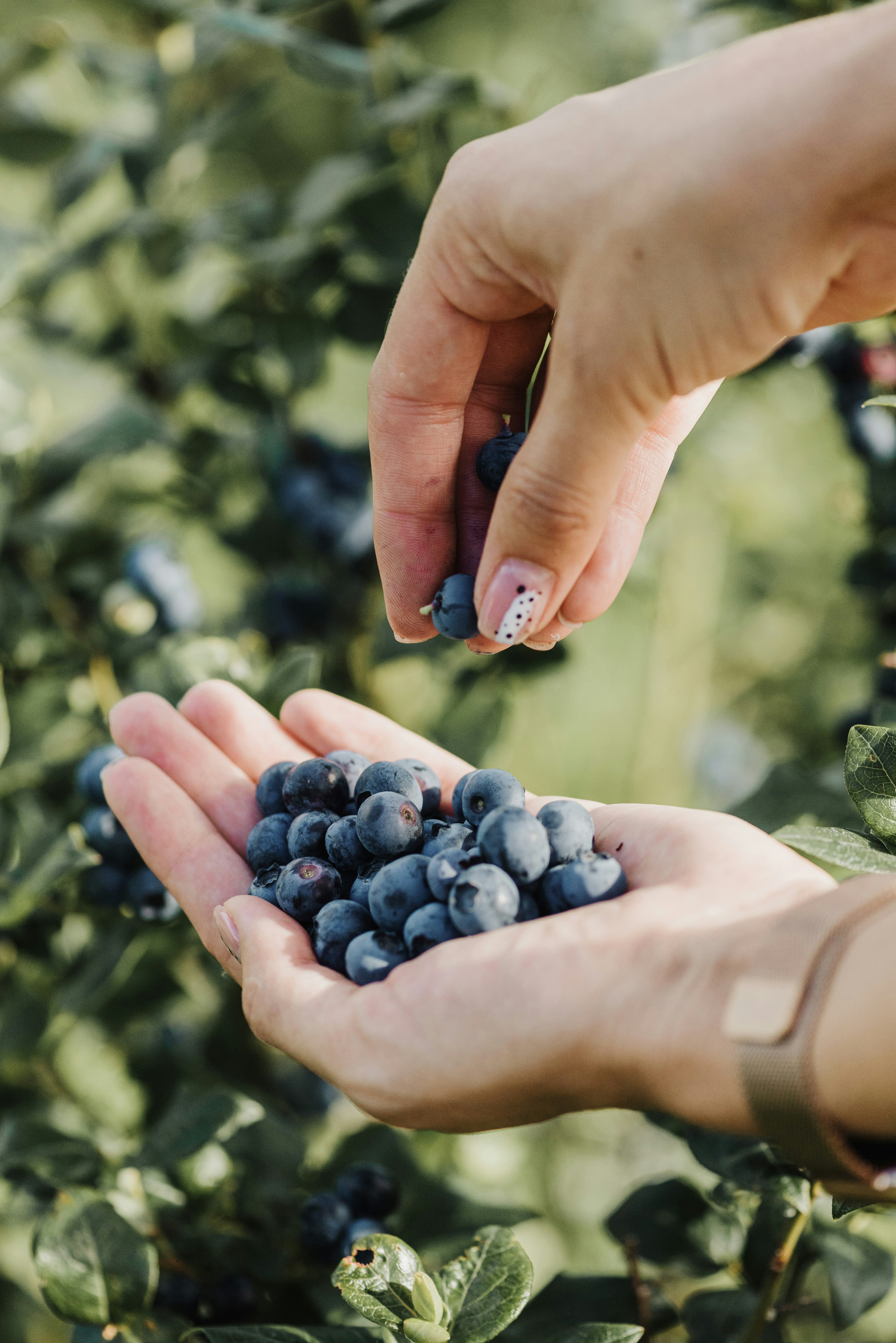 Photo by anitaaustvika