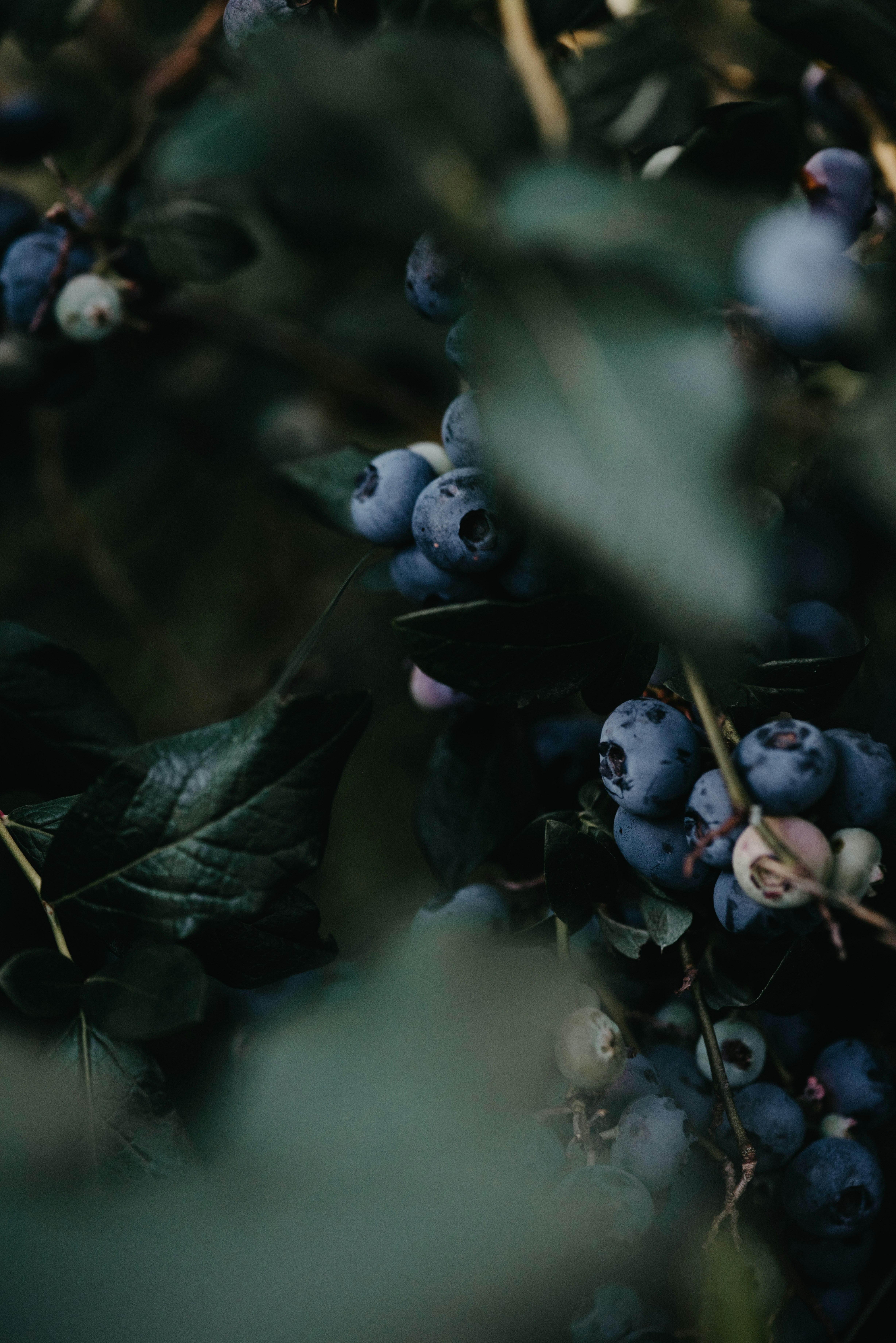 Photo by anitaaustvika