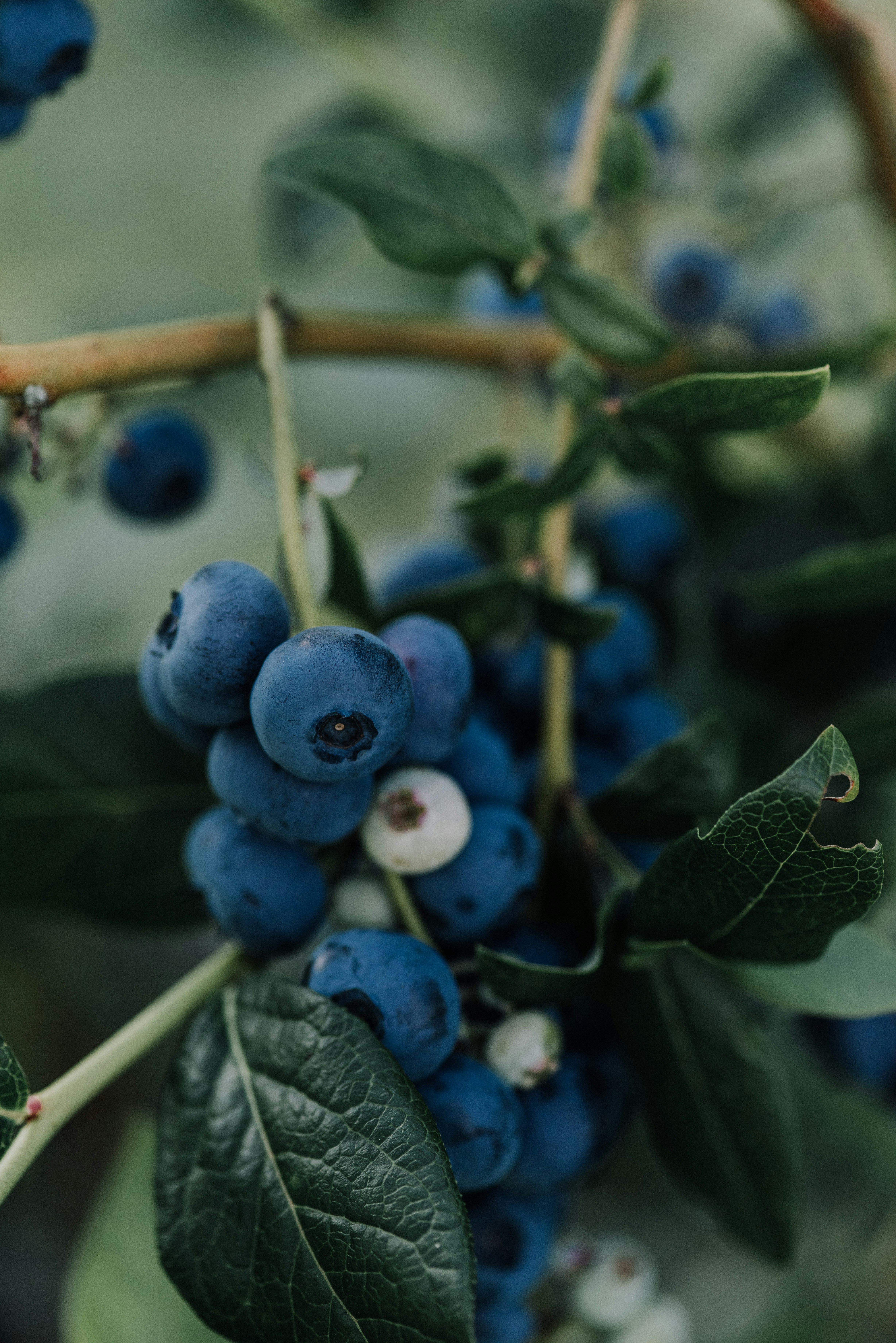 Photo by anitaaustvika