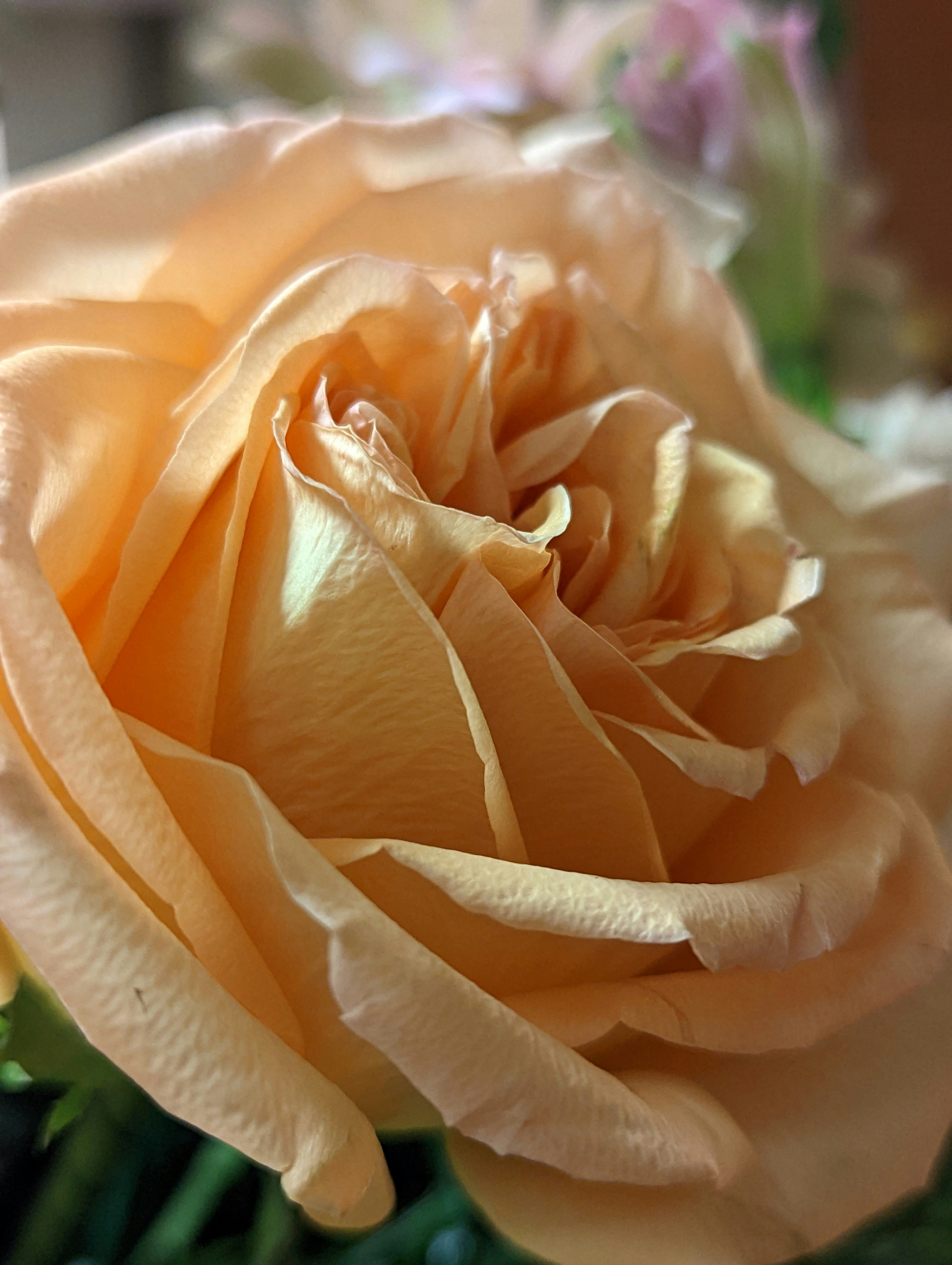 Photo by helloitsrufio