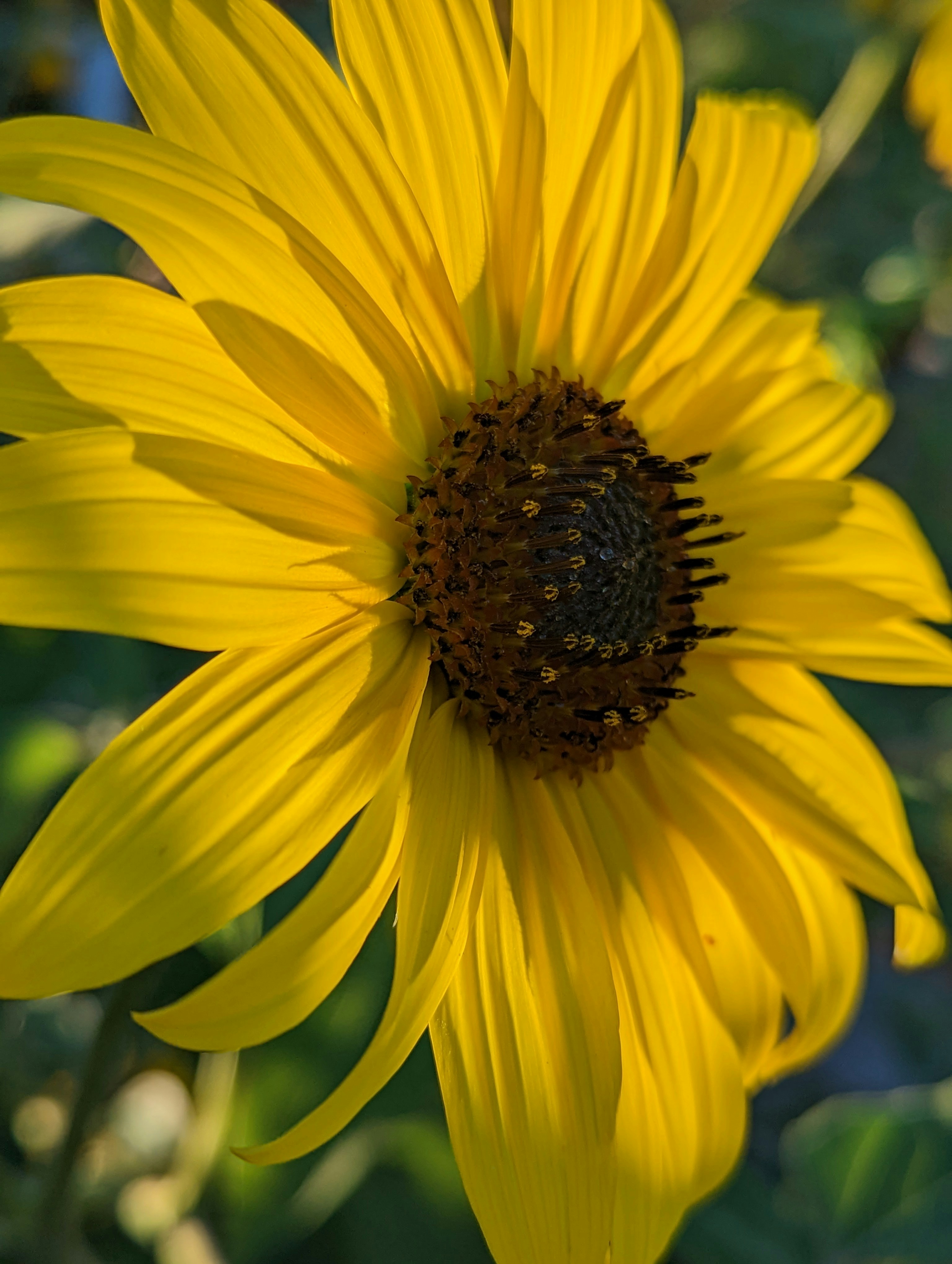 Photo by helloitsrufio