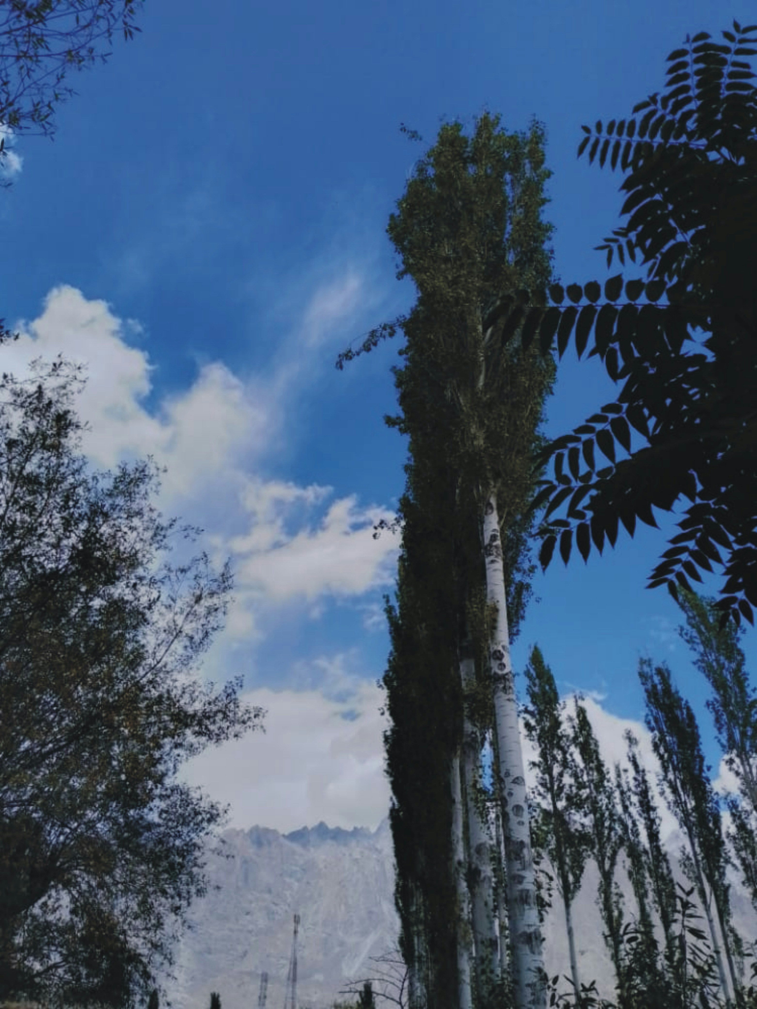 Photo by nomanwajid2023