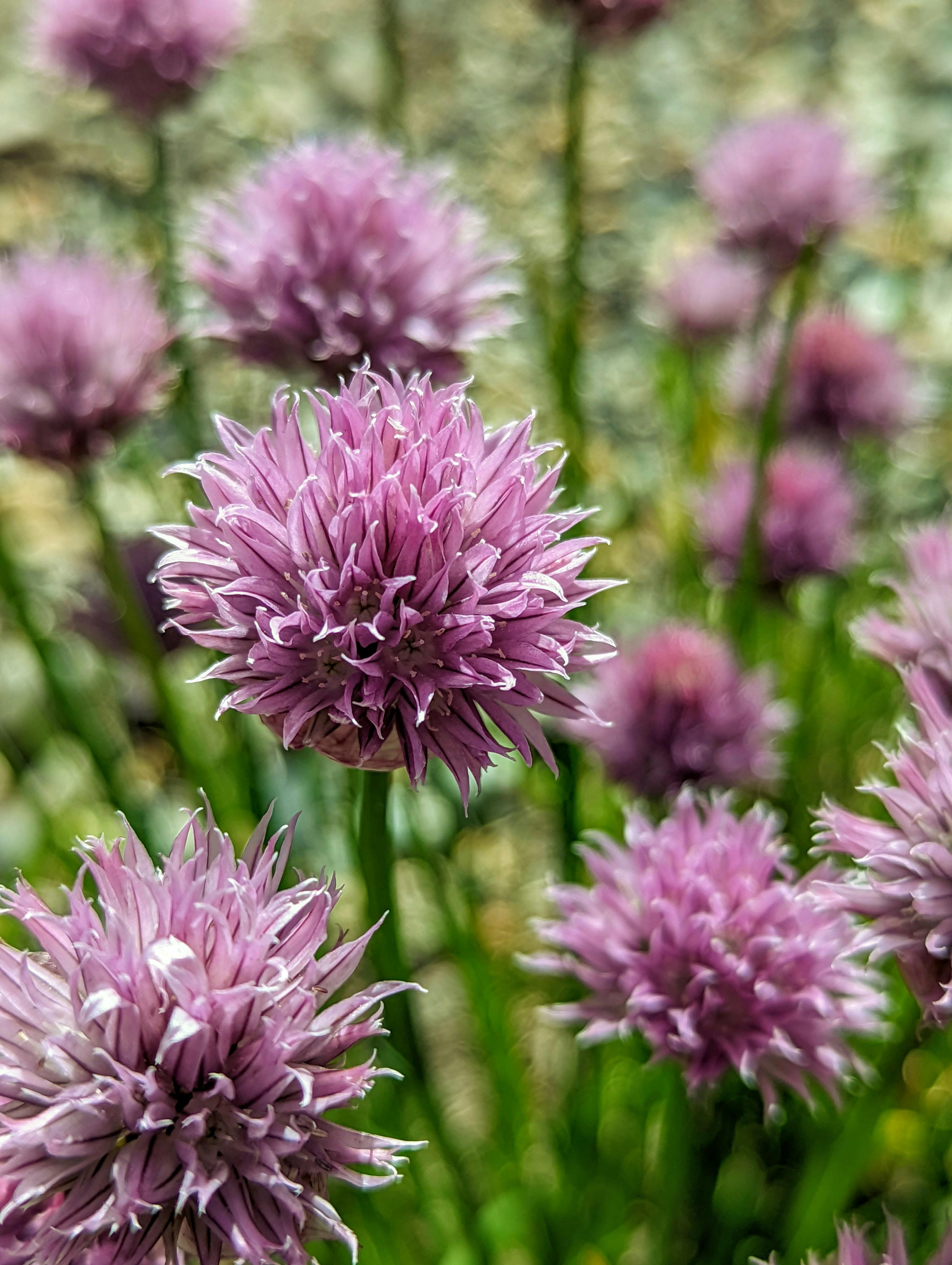 Photo by helloitsrufio