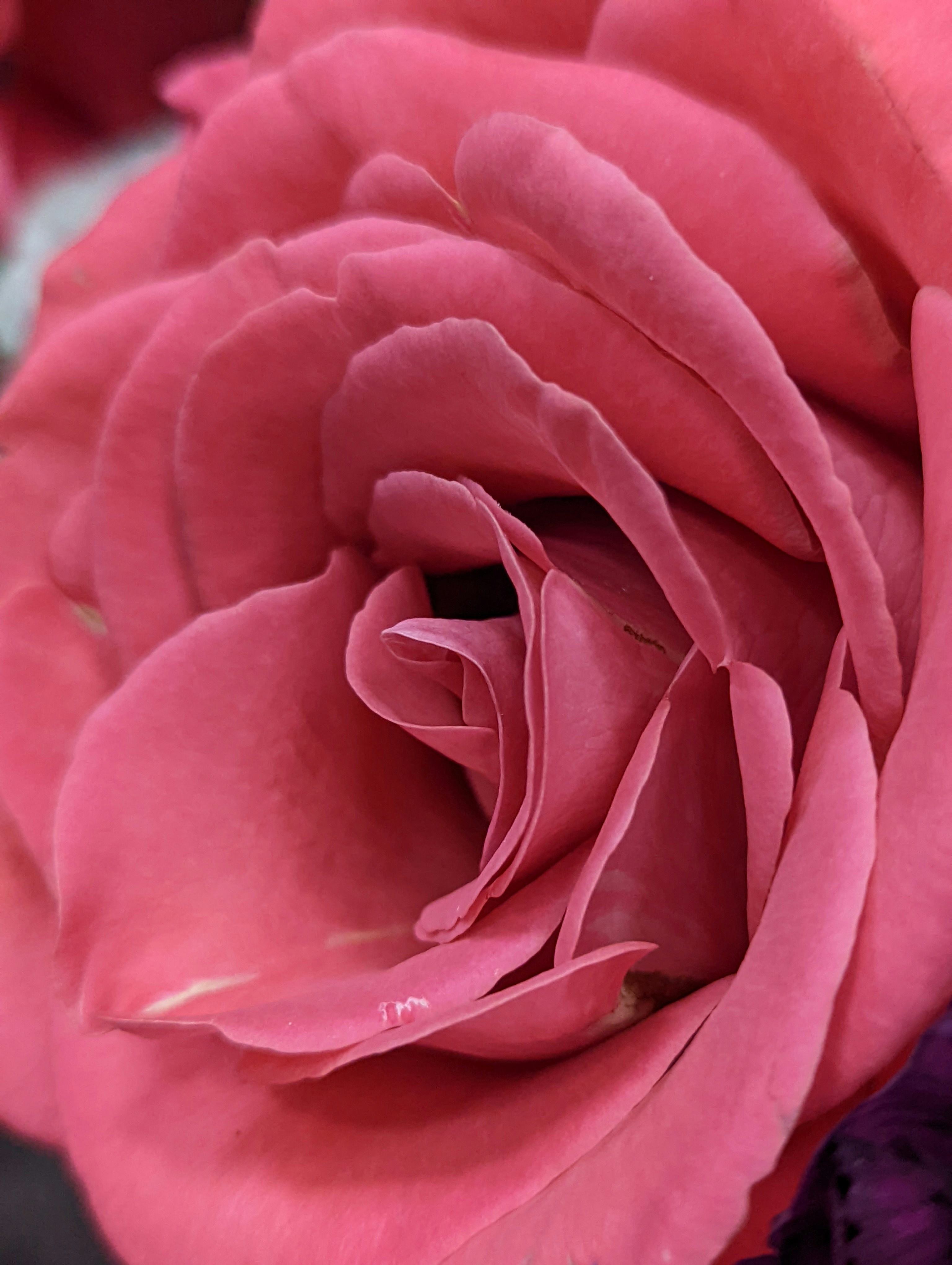 Rufio (@helloitsrufio) | Unsplash Photo Community