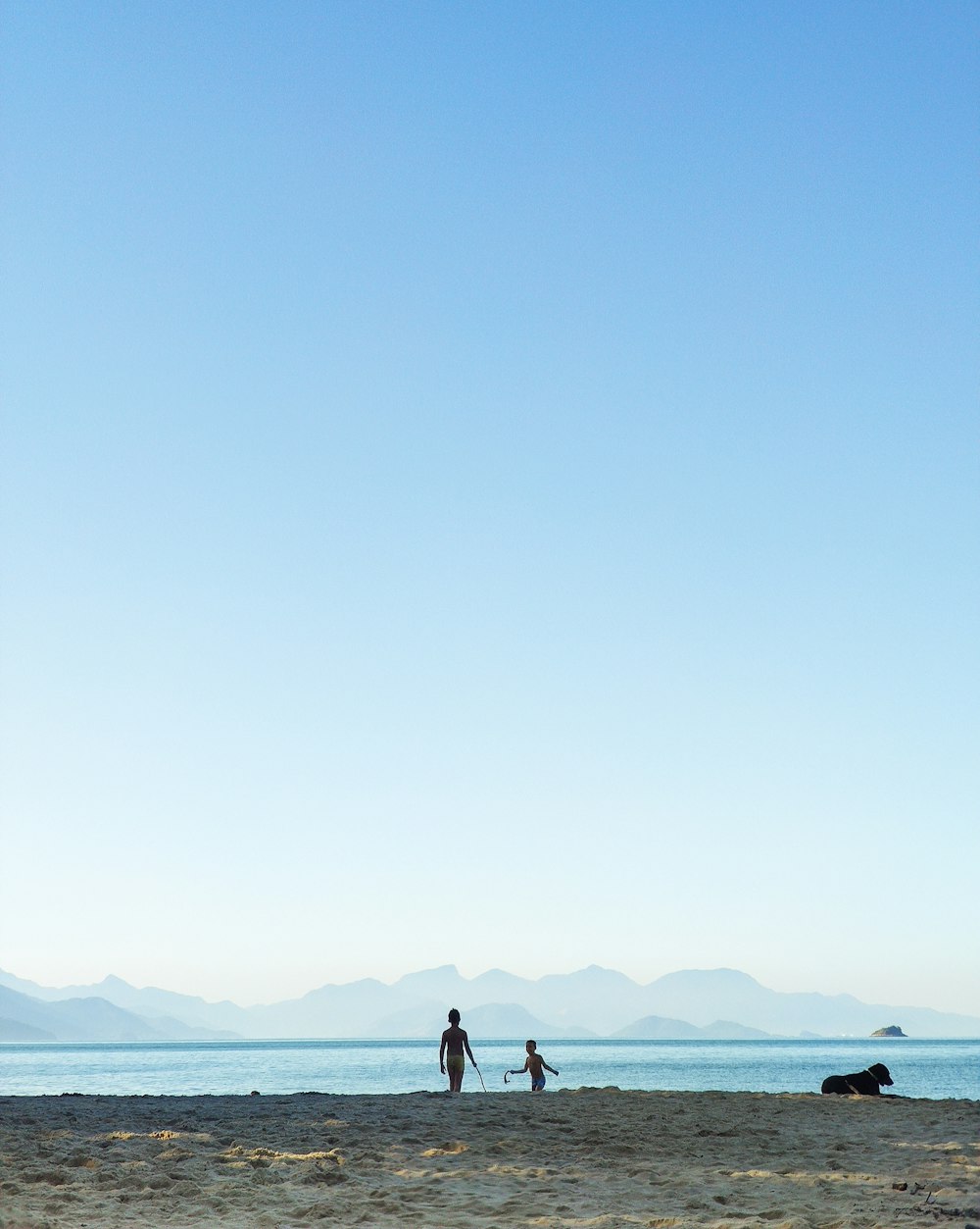 people on a beach