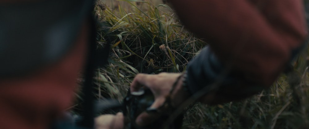 a person looking at a grass field