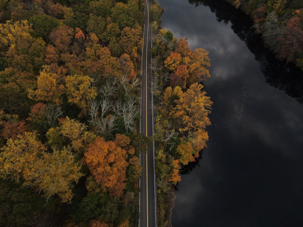 a river with trees around it