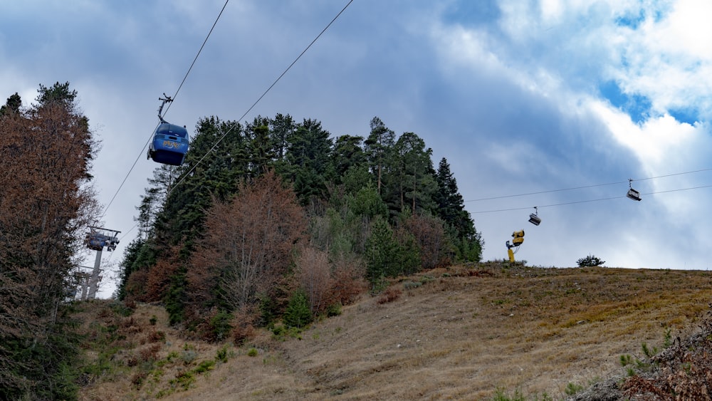 a group of people riding skis