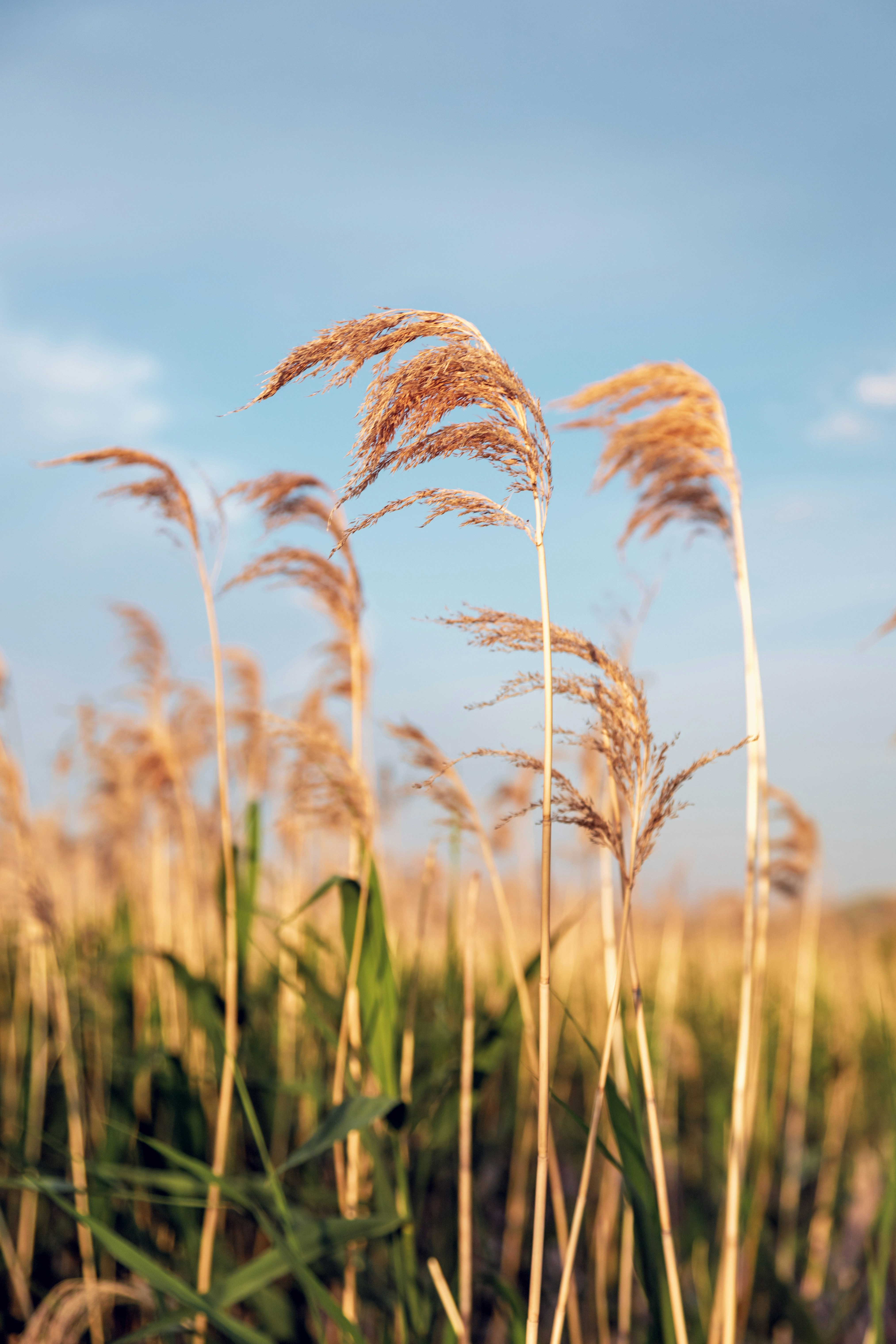 Photo by ruvimkerimov