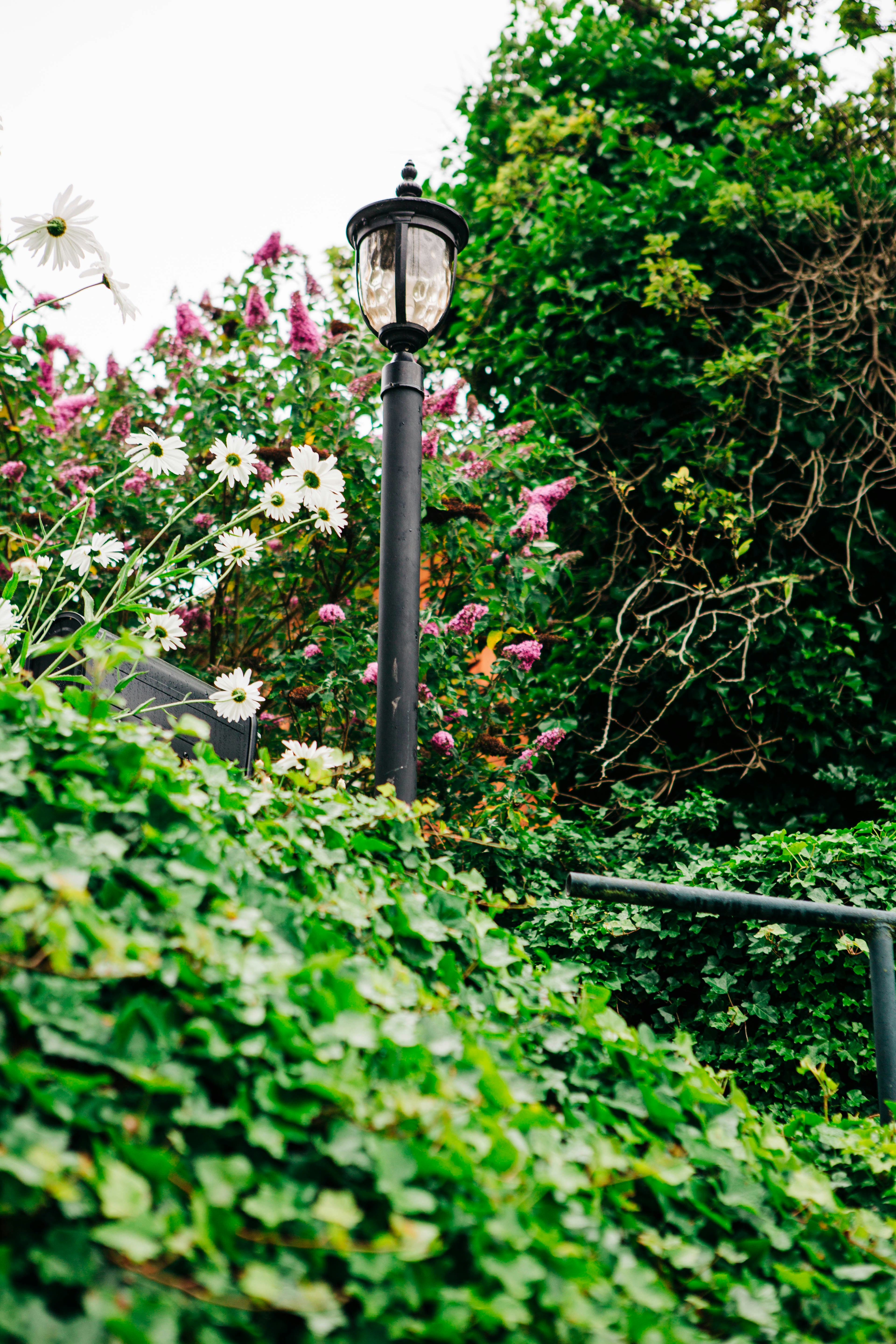 Photo by lexilaginess