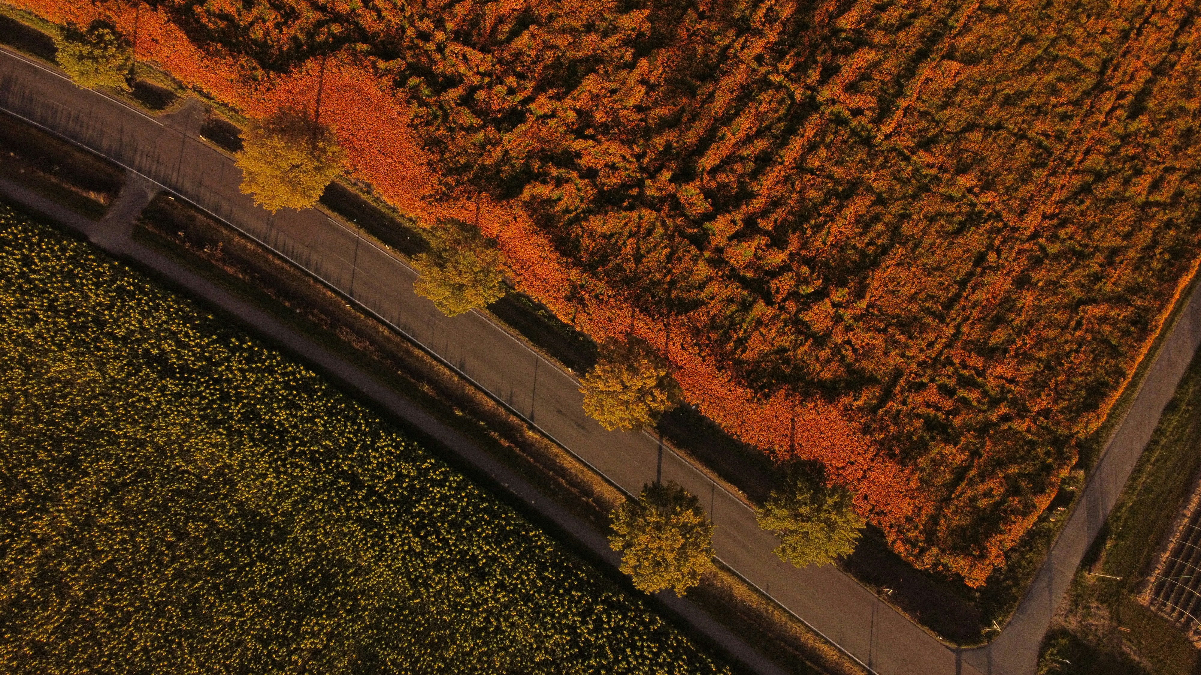 Train on railway tracks