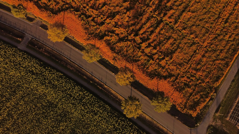 a train on the railway tracks