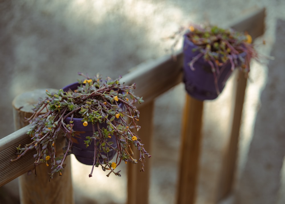 a purple flower in a vase