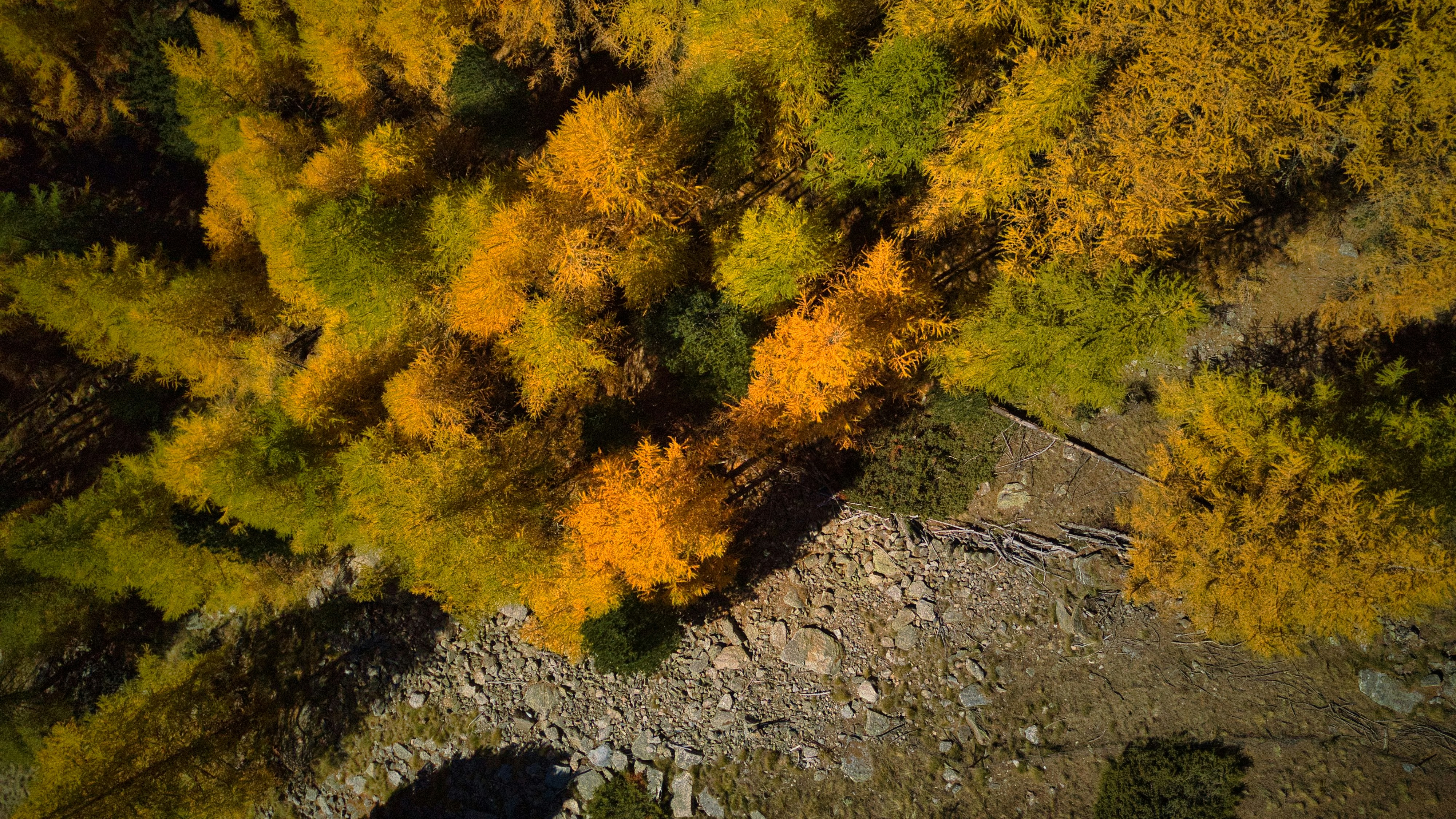 Photo by misterjackdaniel