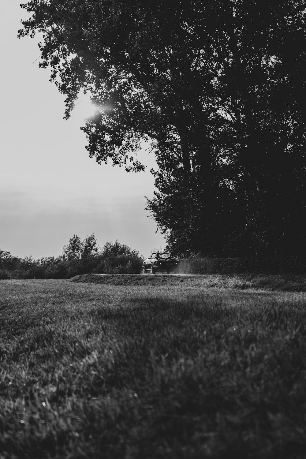 a field with trees in the background