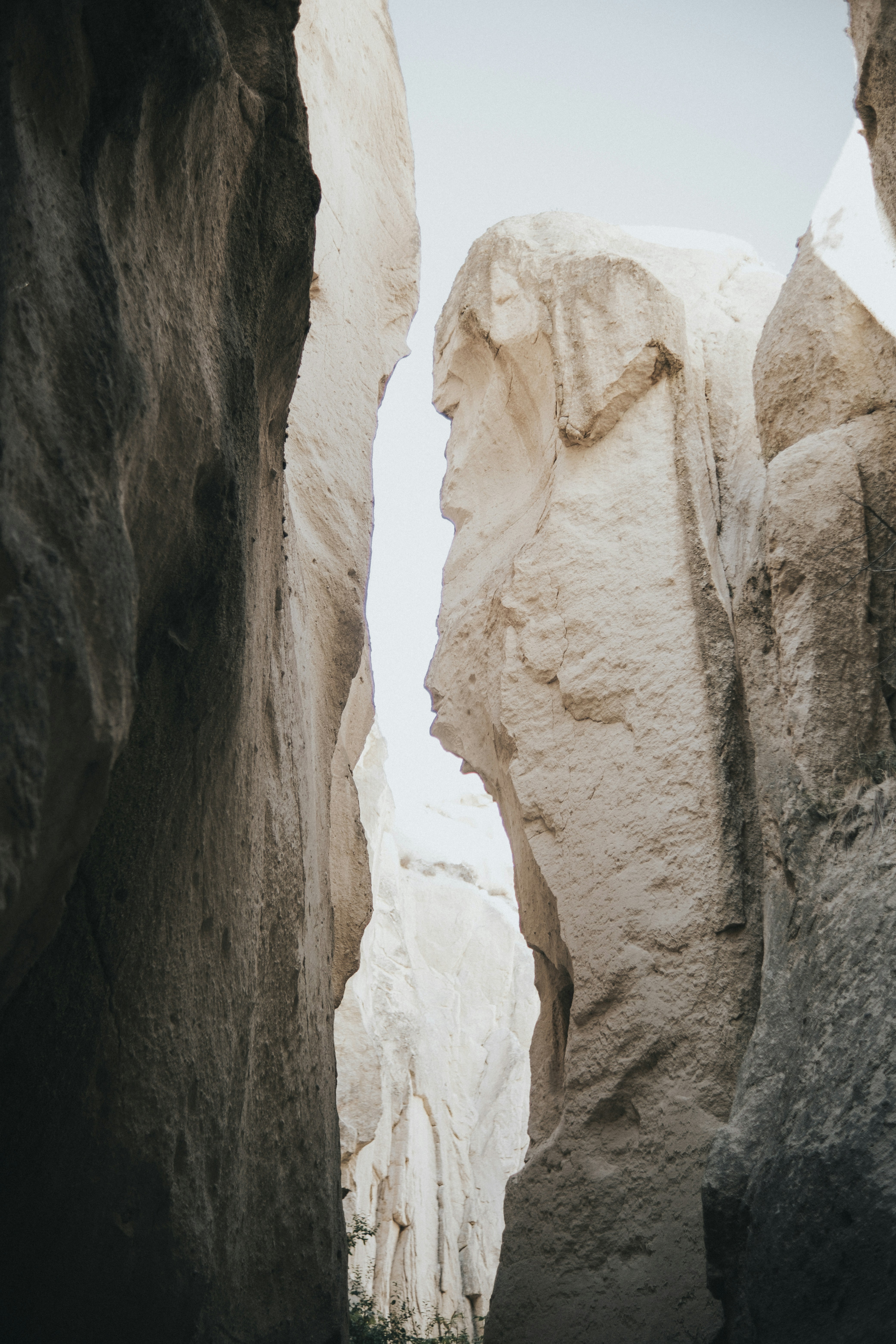 Photo by feyzayildirim