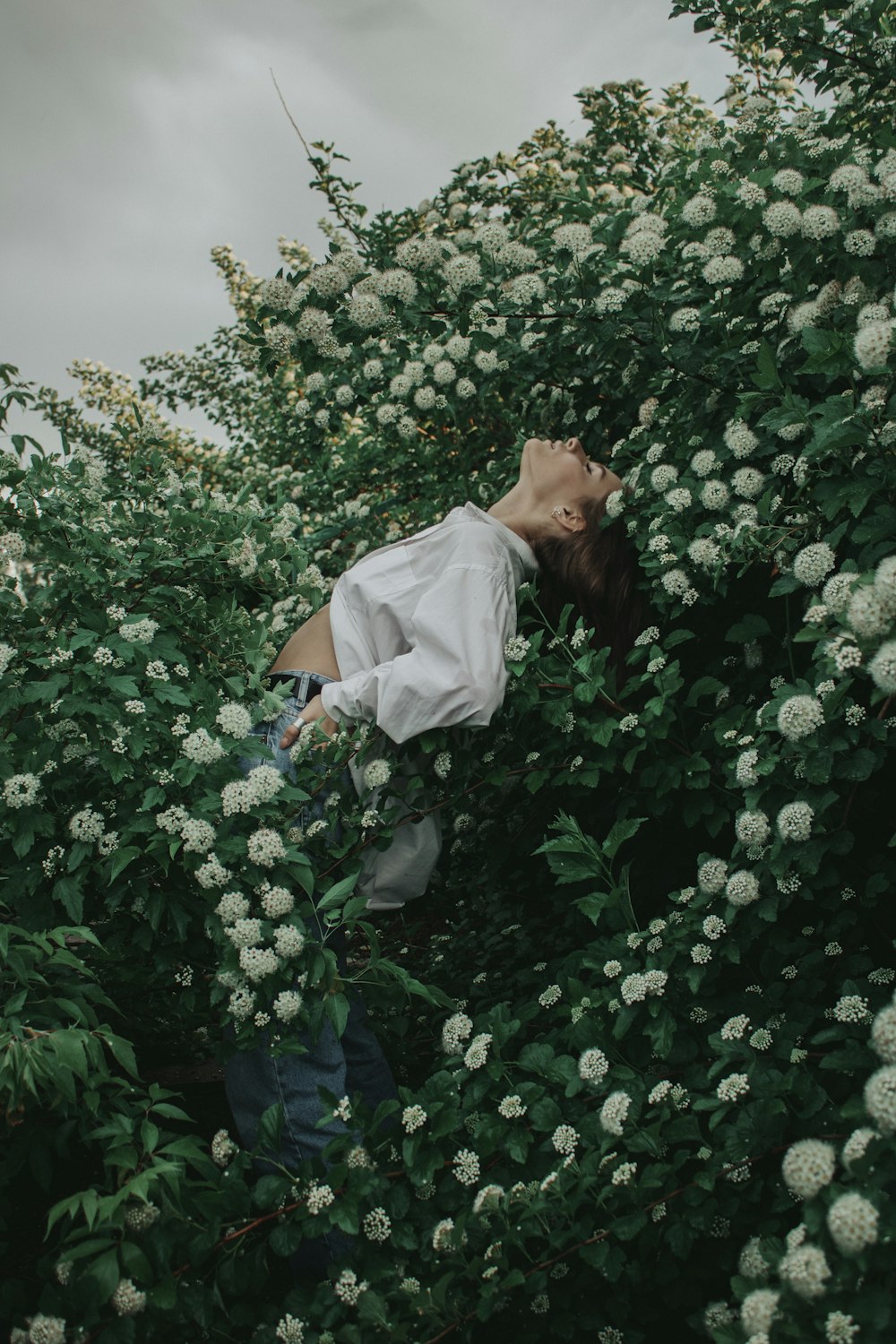 a person lying in a bush