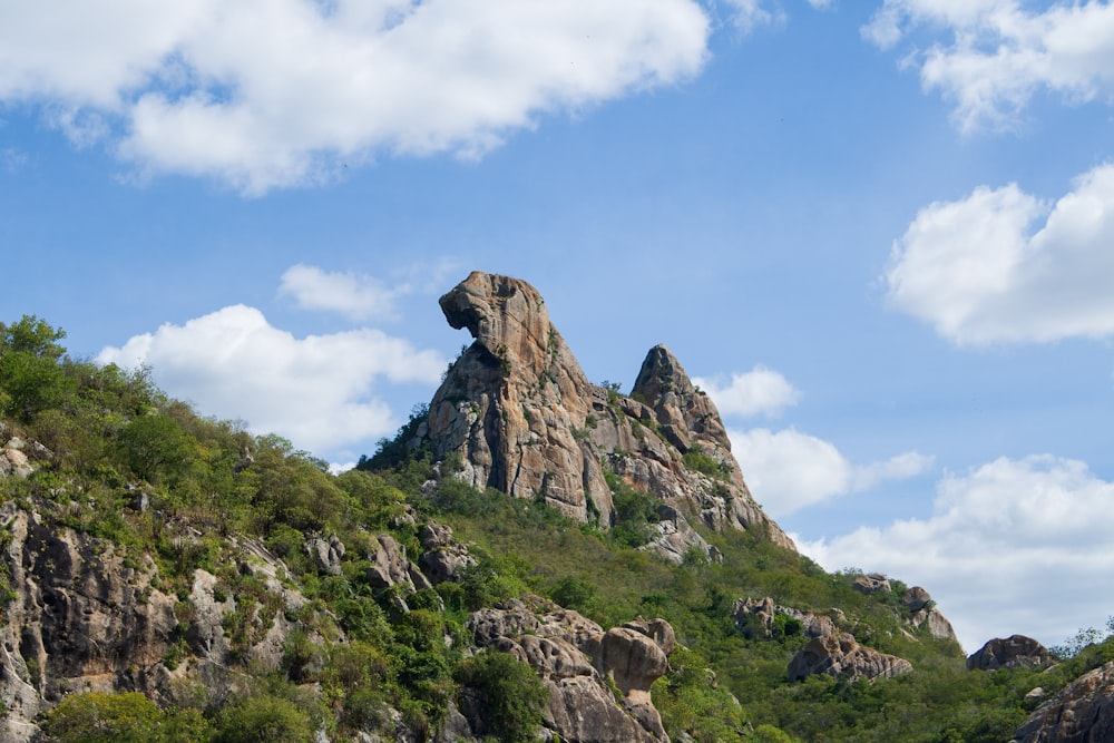 a rocky mountain with trees and blue sky