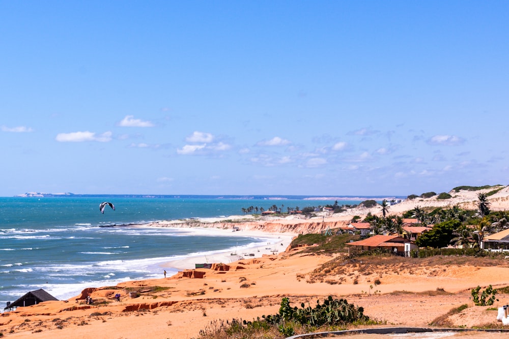 a person flying a kite on a beach