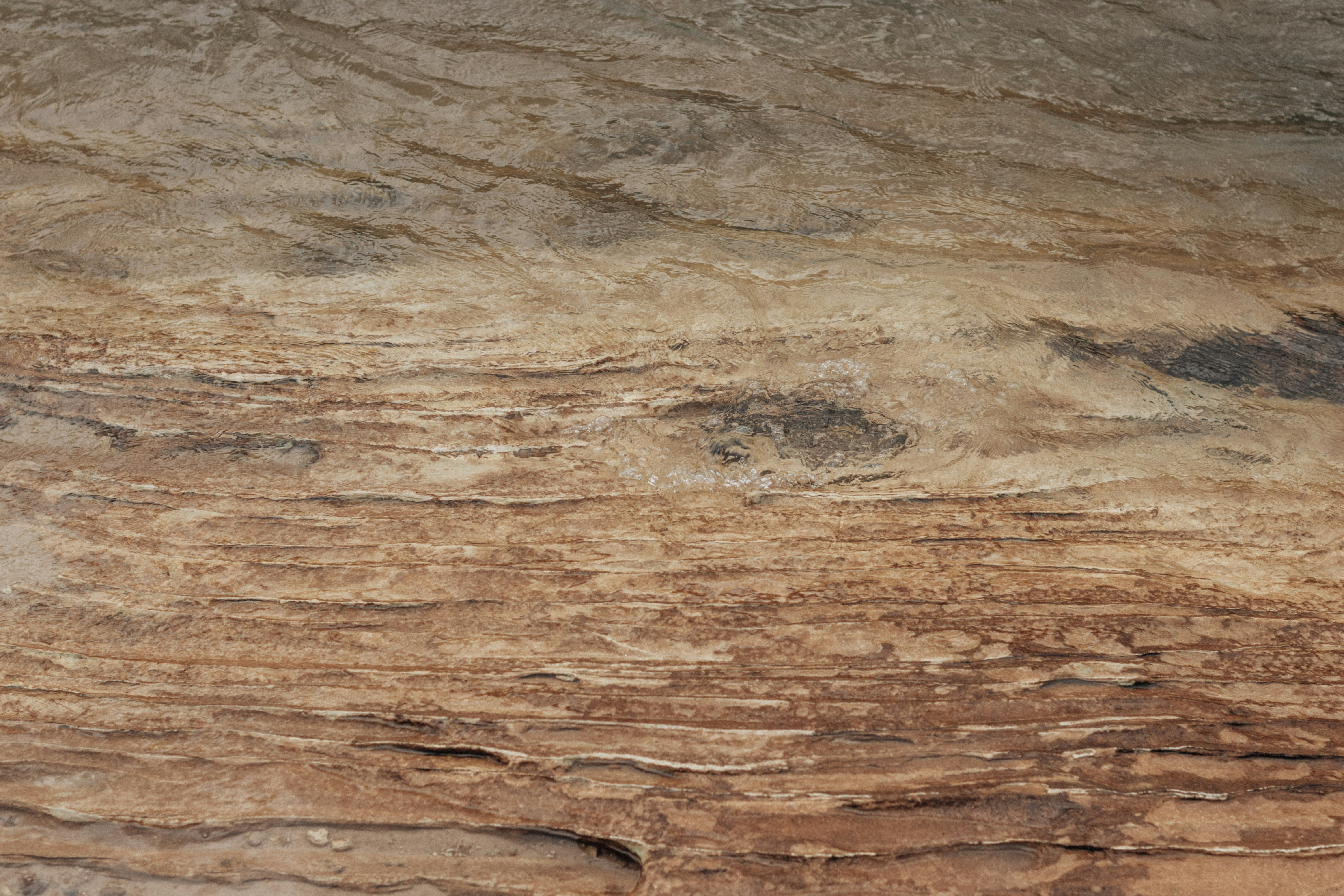 Photo by henriquecastilho_jpg