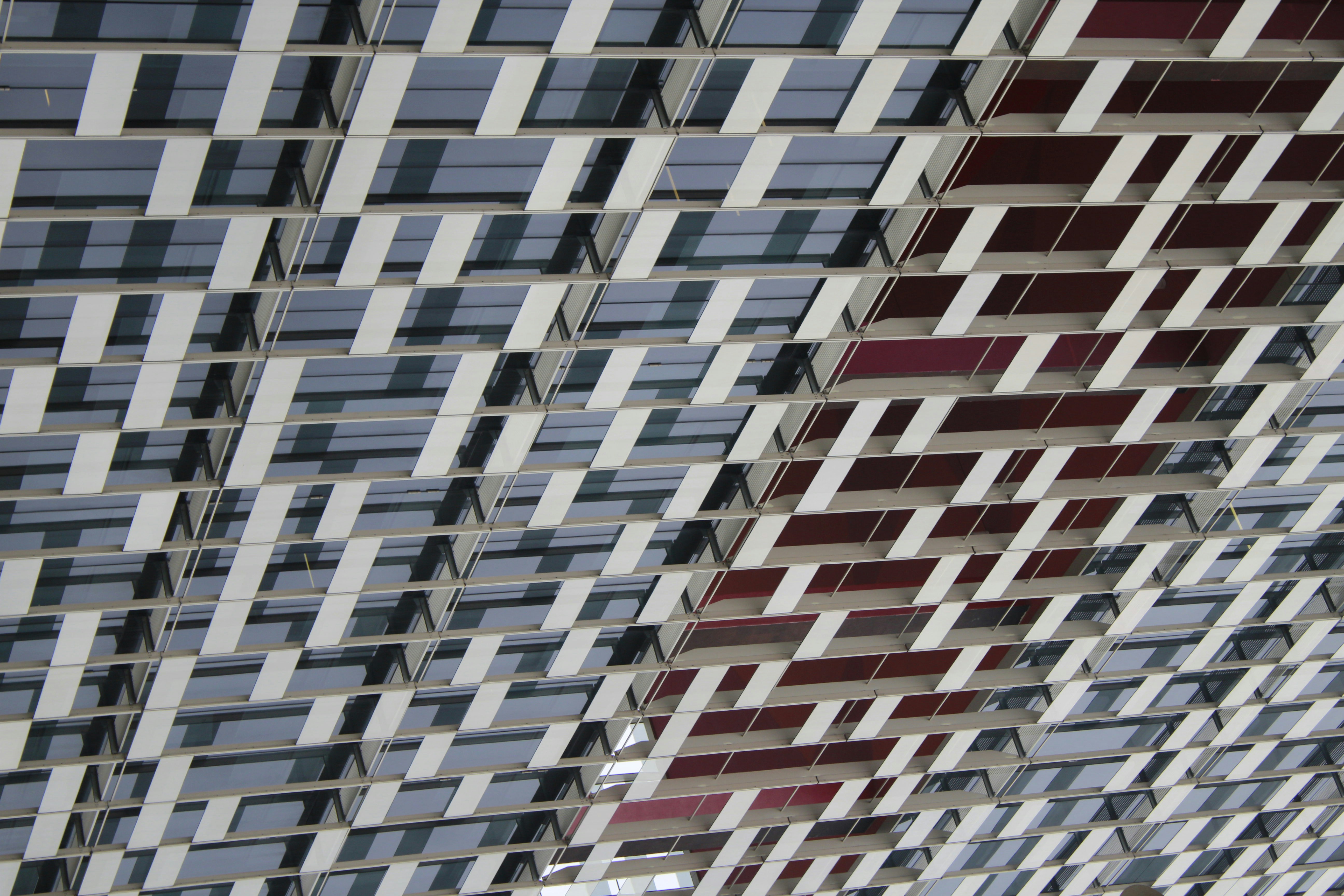 Photo by photosbyedoardo