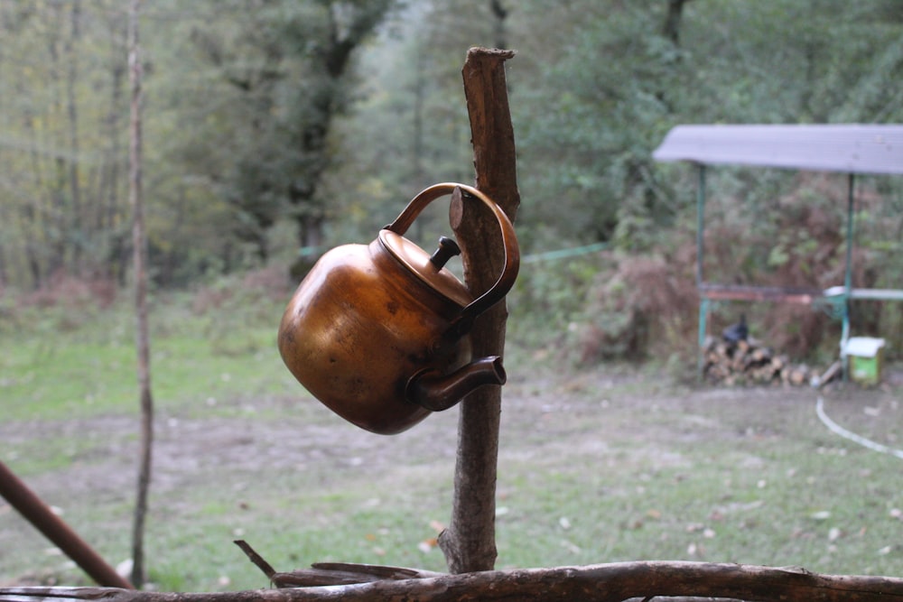 a large metal object on a tree branch
