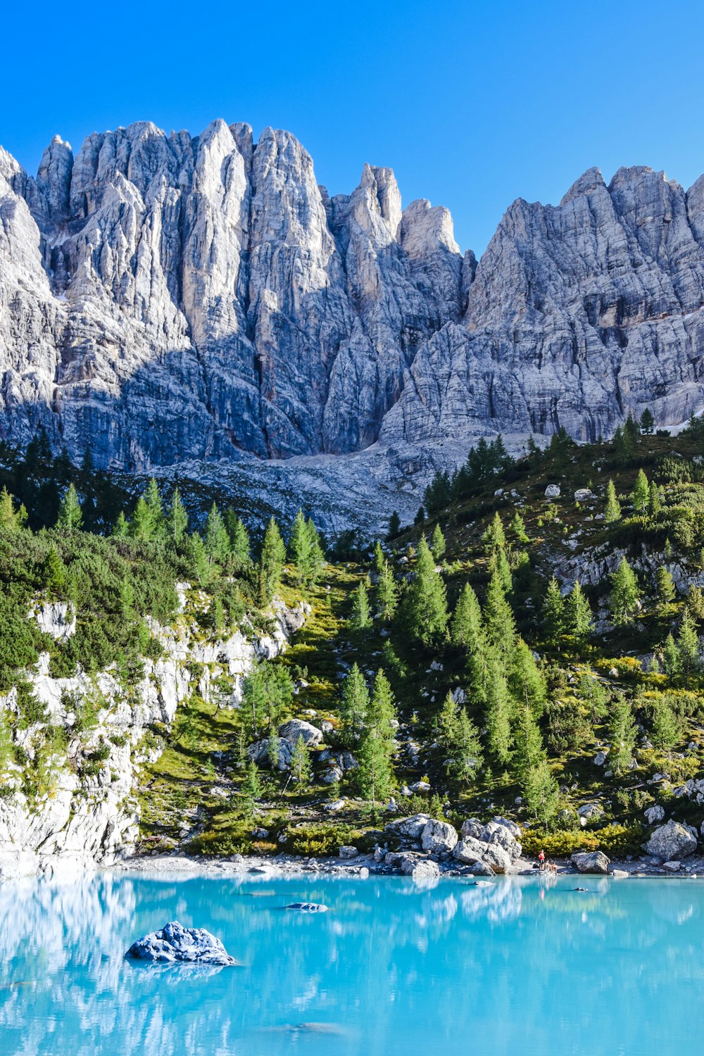 a body of water with trees and mountains in the background