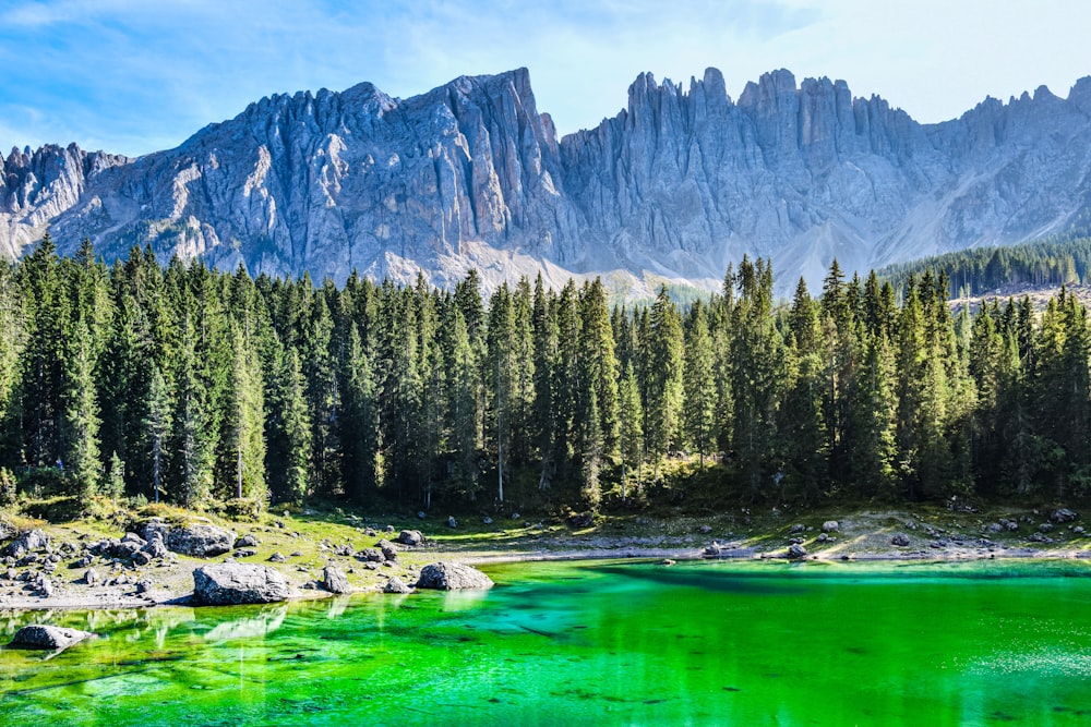 Dolomites with trees and mountains in the background