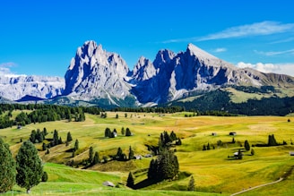 a grassy field with trees and mountains in the background with Dolomites in the background
