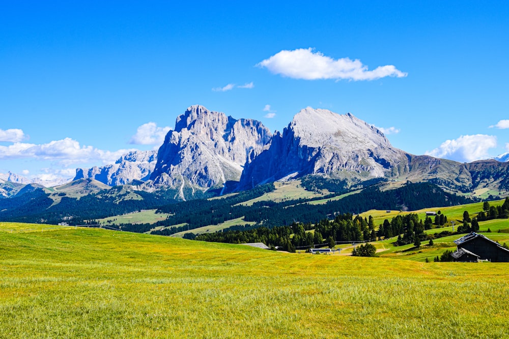 a grassy field with mountains in the background