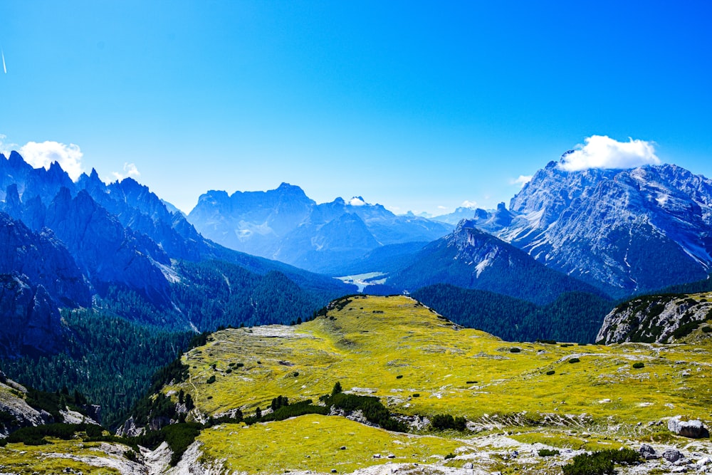 a grassy valley with mountains in the background