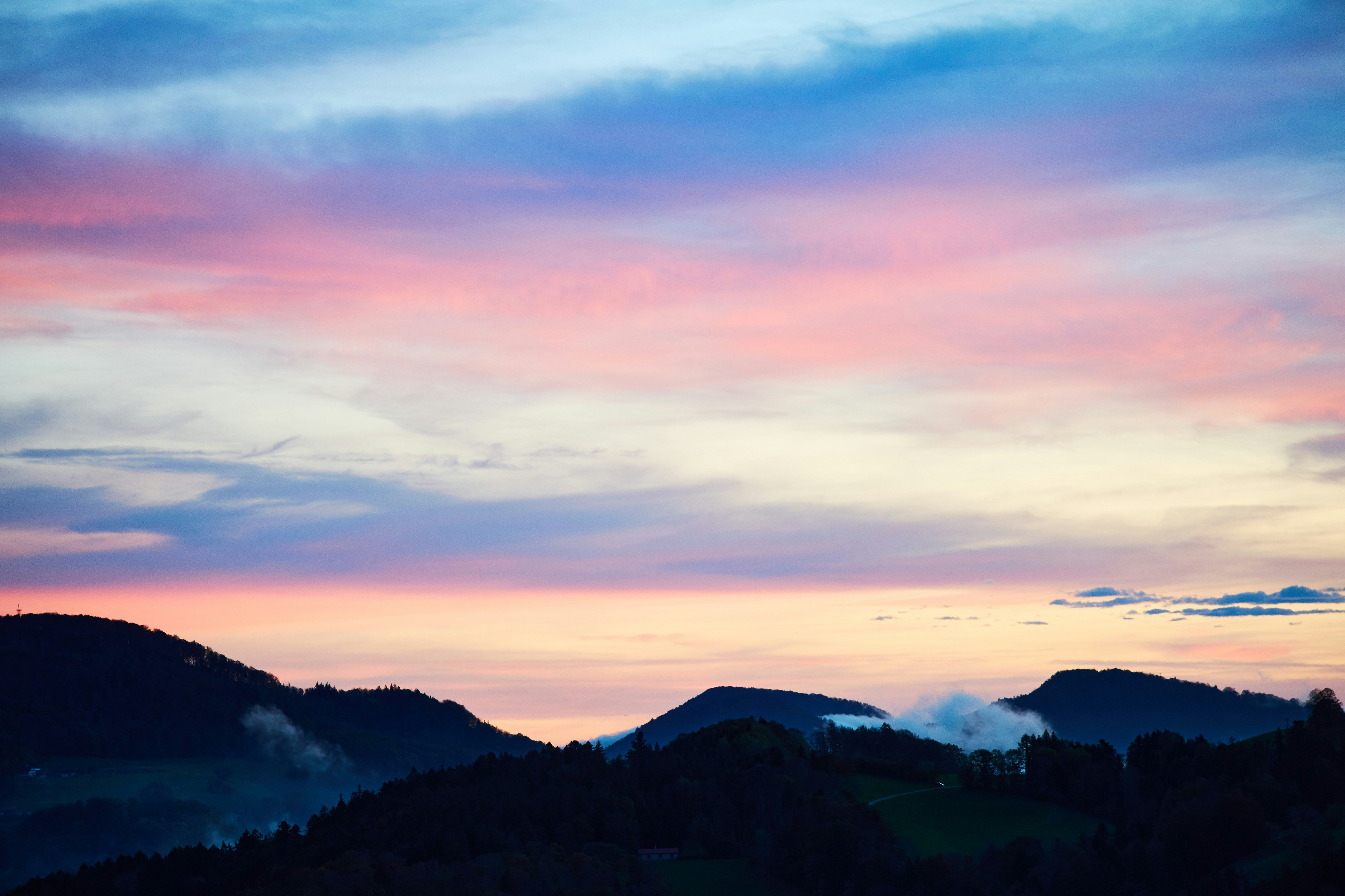 Photo by wolfgang_hasselmann