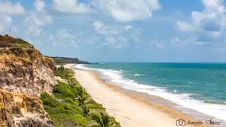 a beach with a body of water