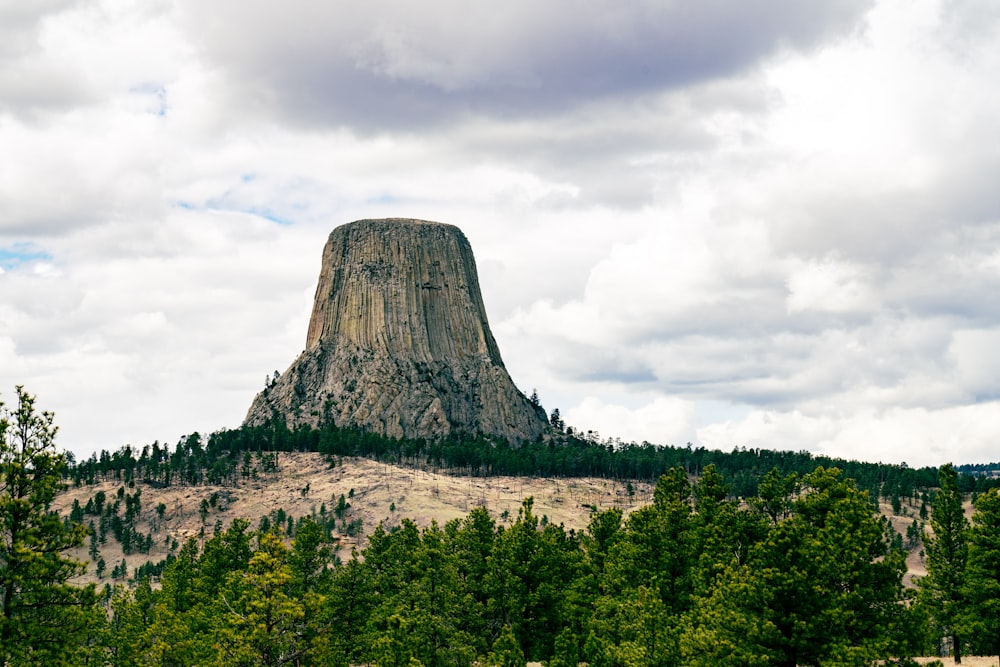 a large rock formation in the middle of a forest with Devils Tower in the background