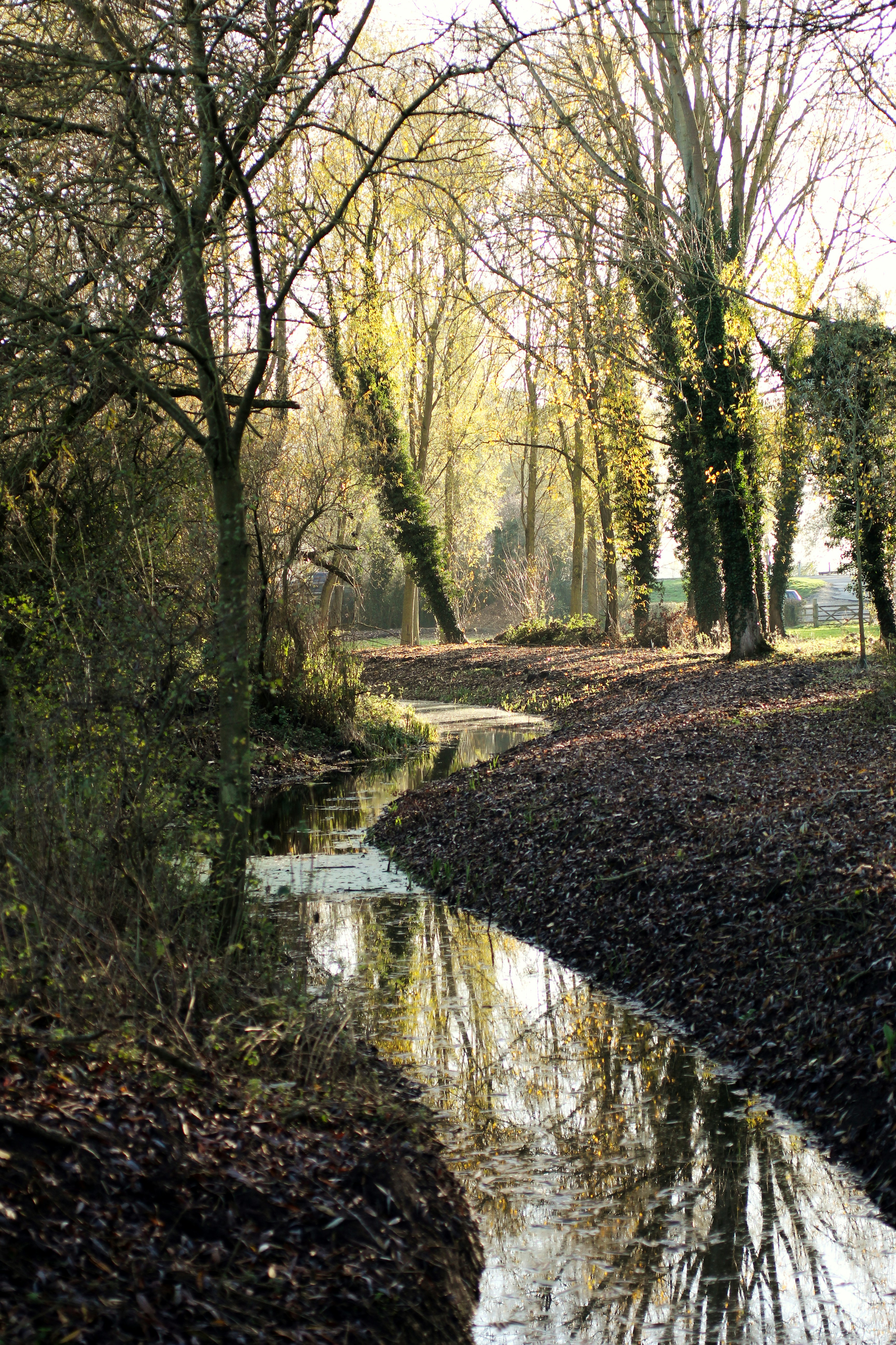 Photo by fidgetingferdie