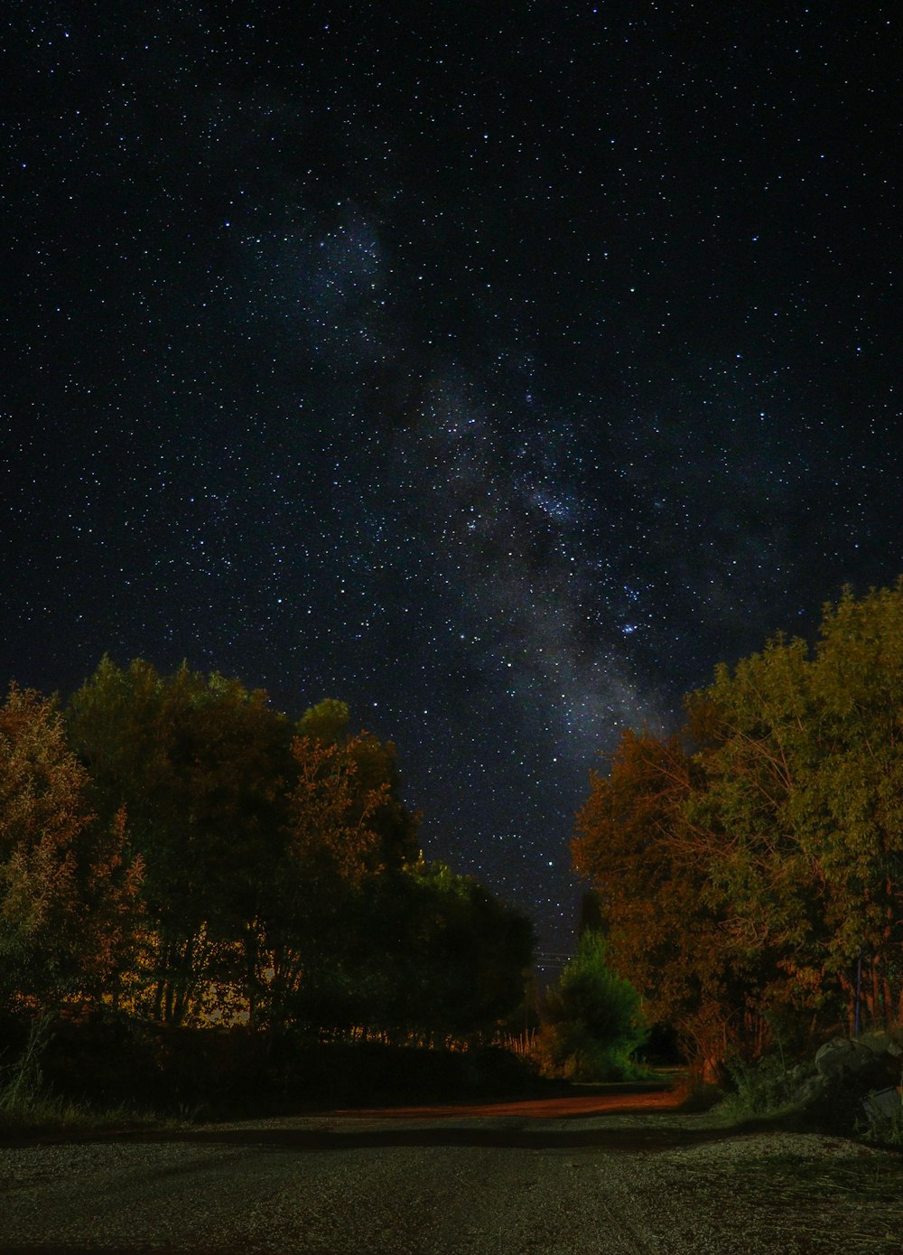 a road with trees and stars in the sky