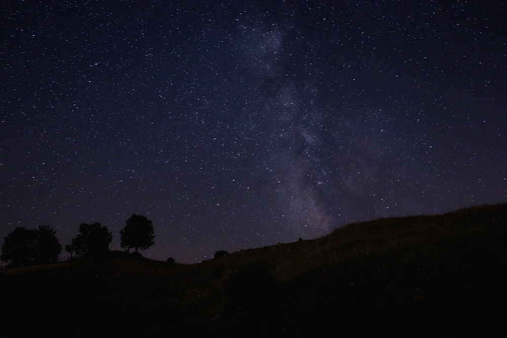 a hill with trees and stars in the sky