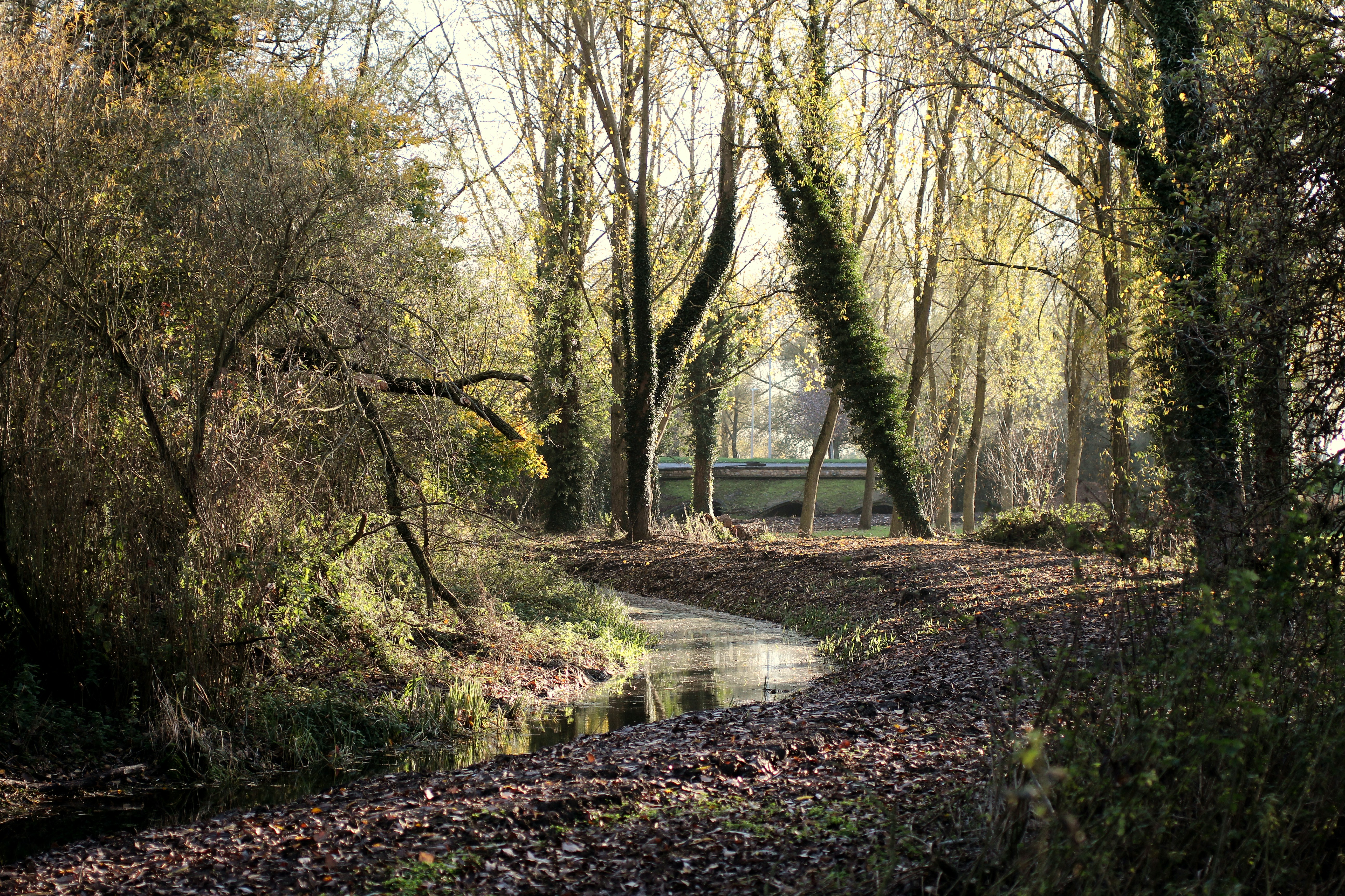 Photo by fidgetingferdie