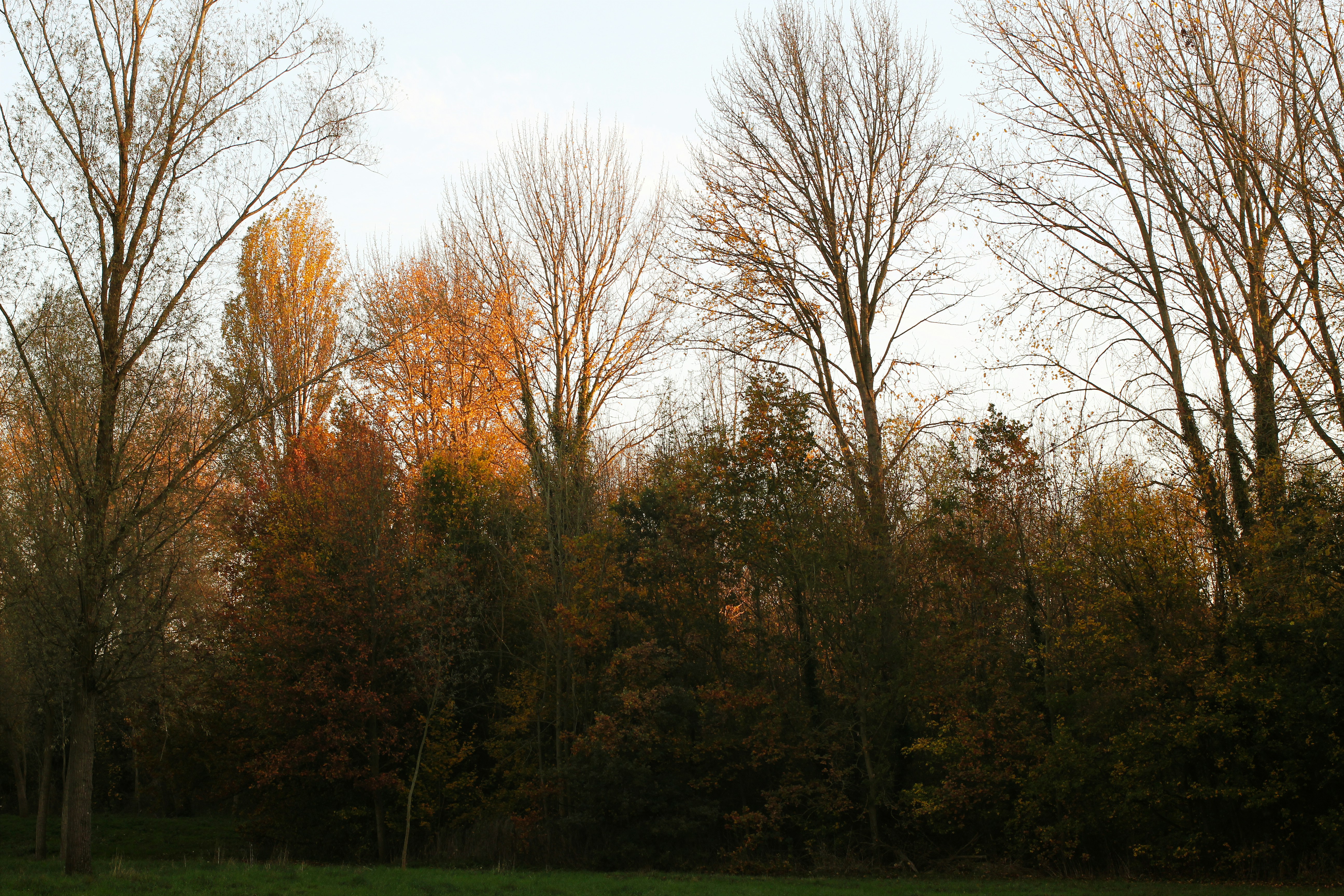 Photo by fidgetingferdie