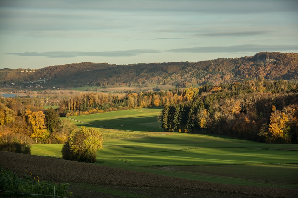 a golf course with trees and hills in the background