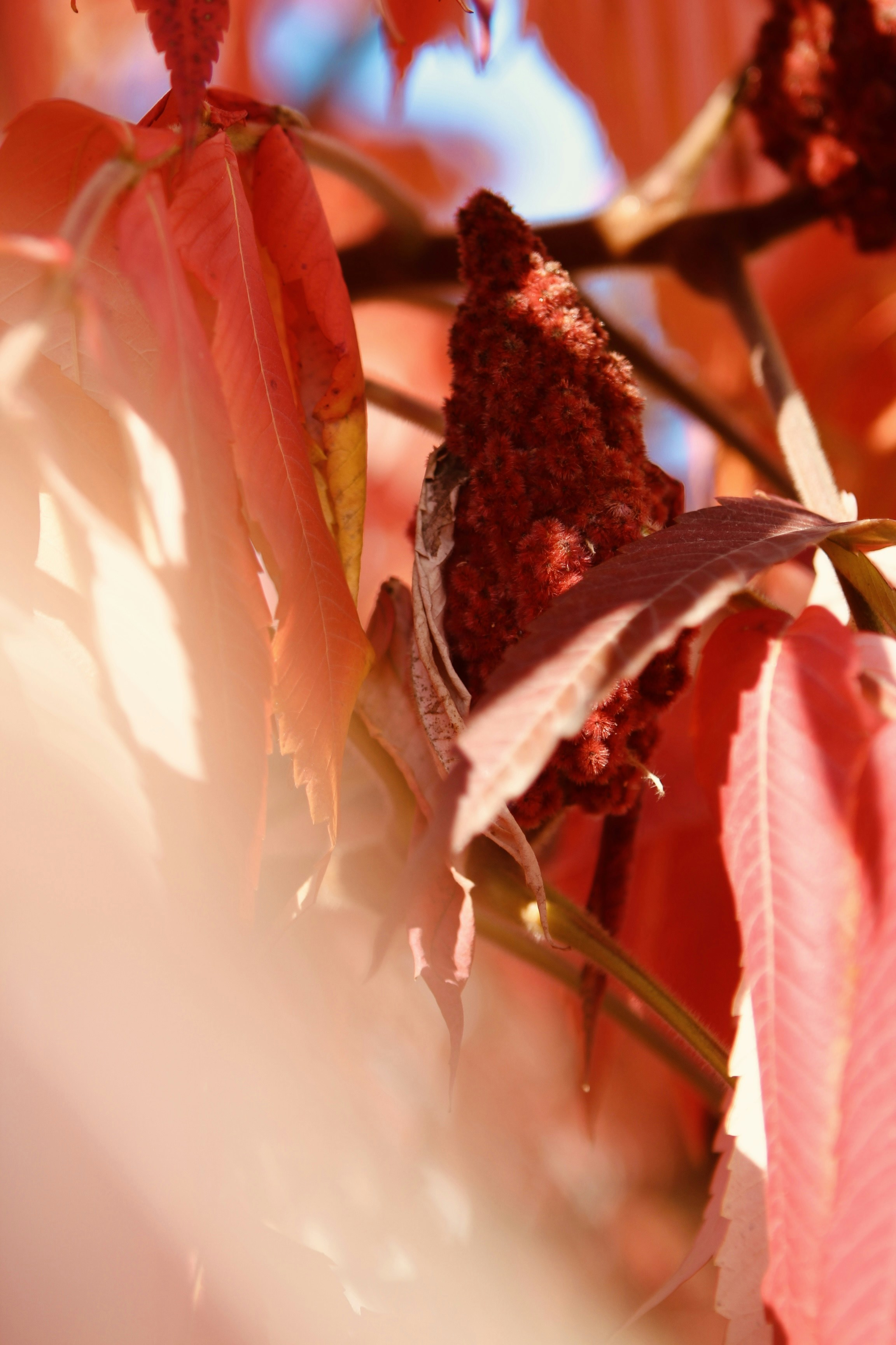 Photo by doinagavrilov