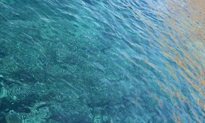 Sunlight sparkling on turquoise ocean waves rolling softly towards the shore.