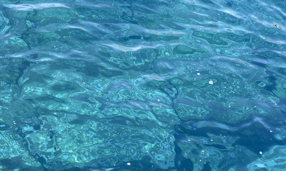 clear blue water with small rocks