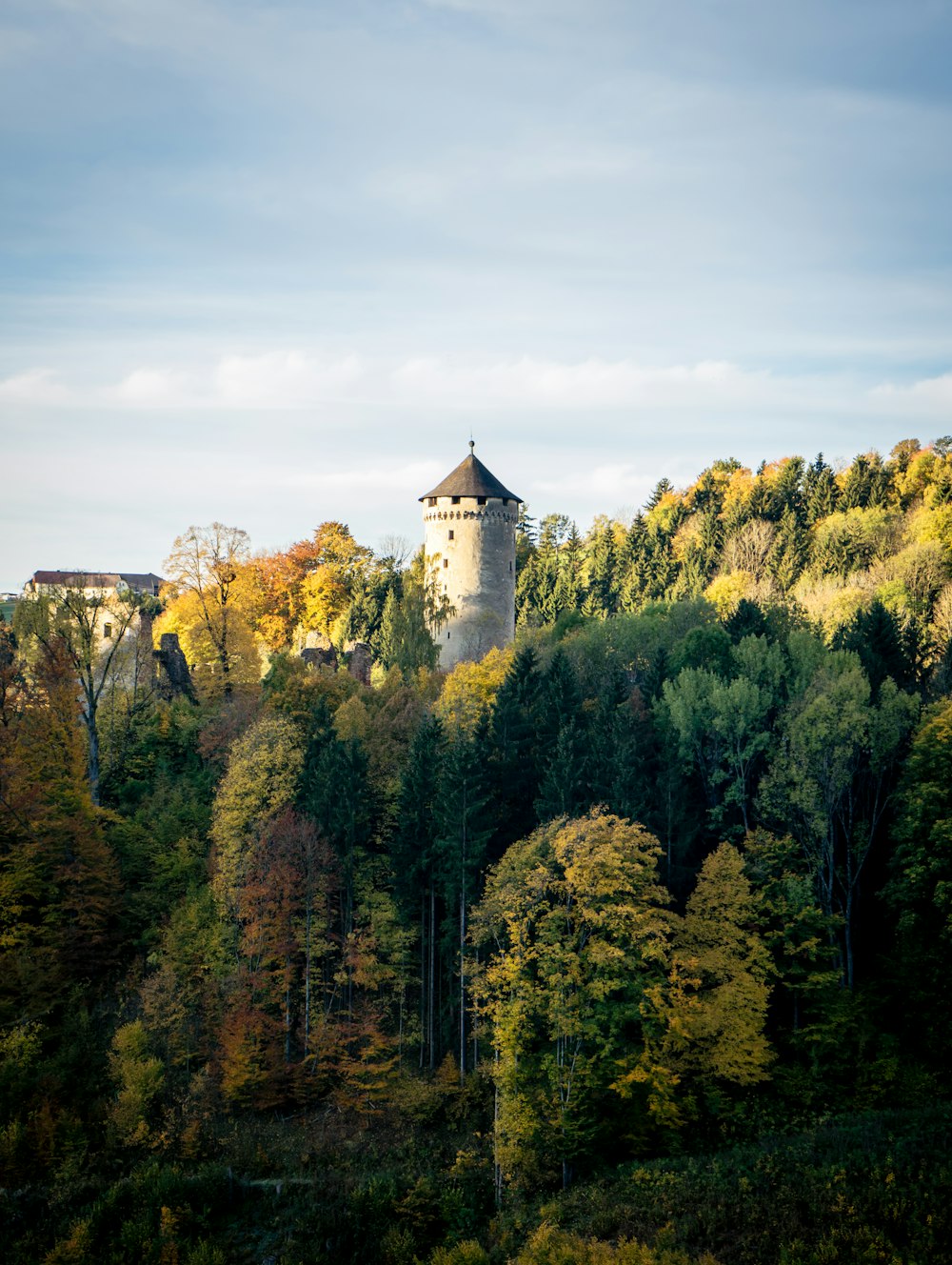 a tall tower in the middle of a forest