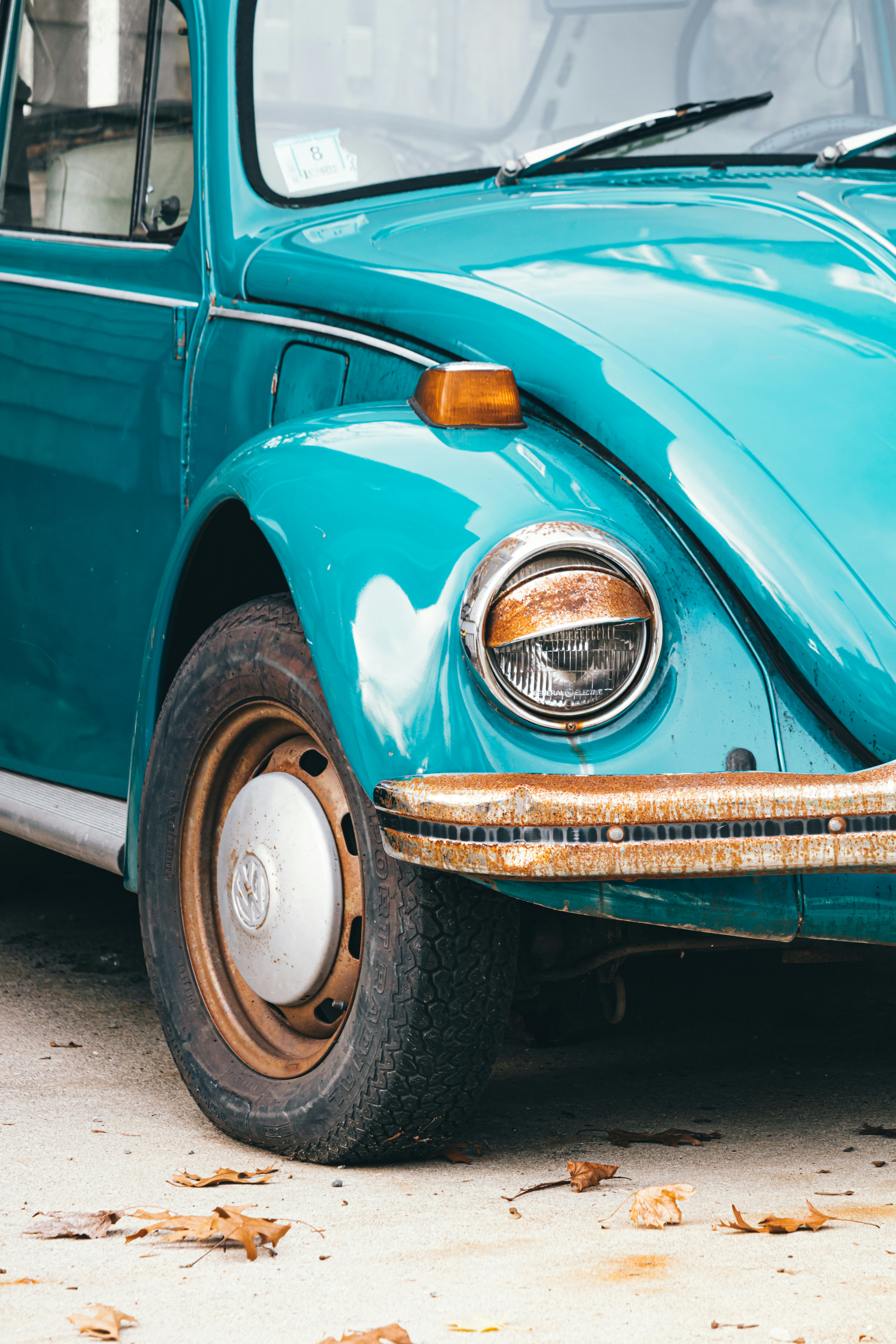 Photo by michaelsoto