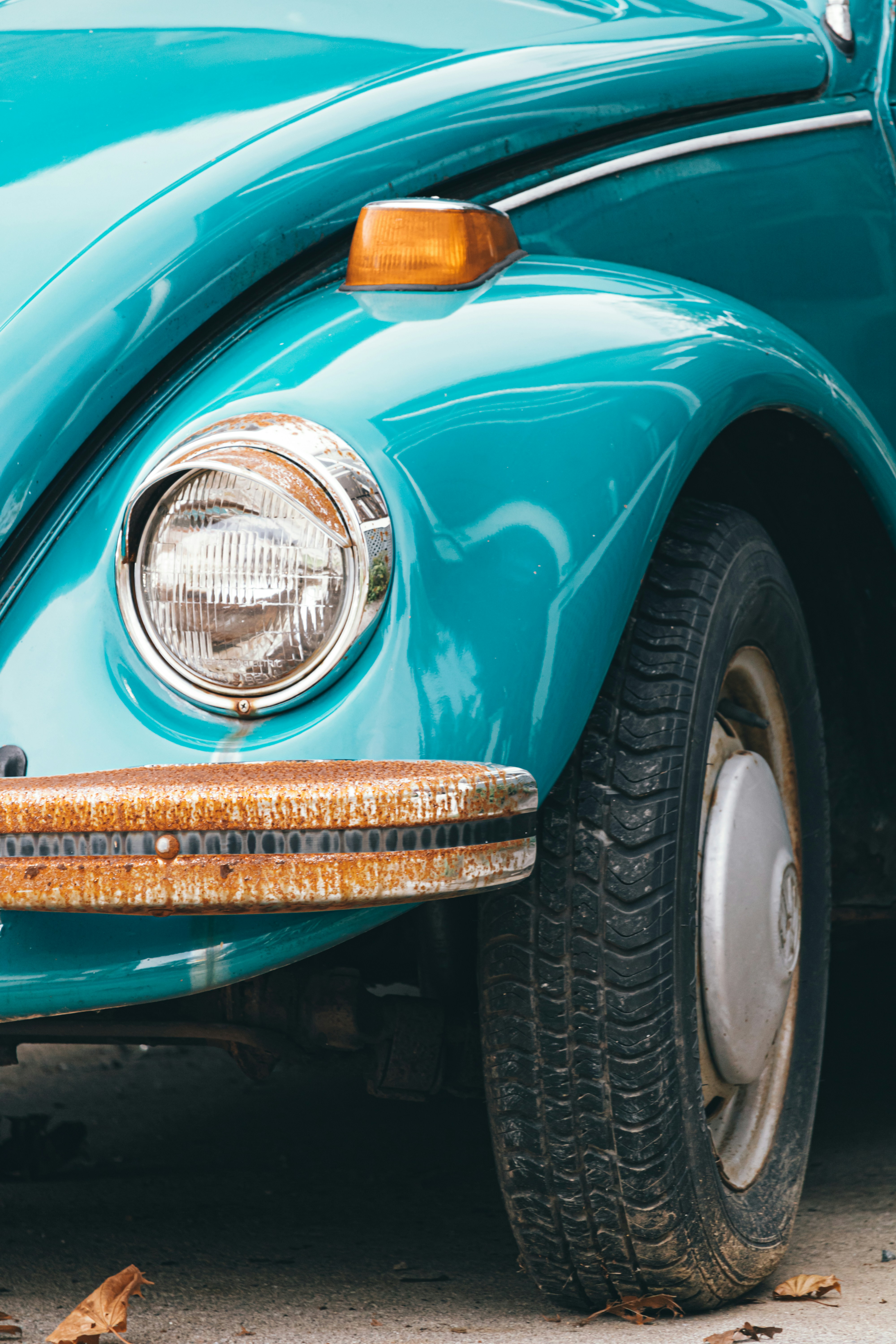 Photo by michaelsoto