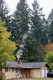 A small house with a chimney emitting smoke is surrounded by tall evergreen trees. The building has a yellow exterior with red accents, and there's a bicycle next to the entrance. It appears to be a peaceful, natural setting.