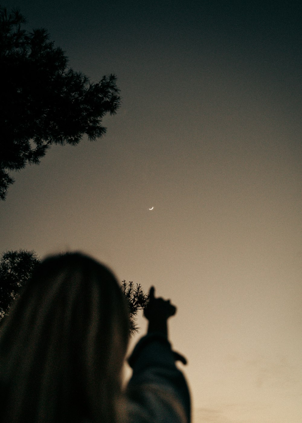 eine Person mit erhobener Hand in der Luft vor einem Mond