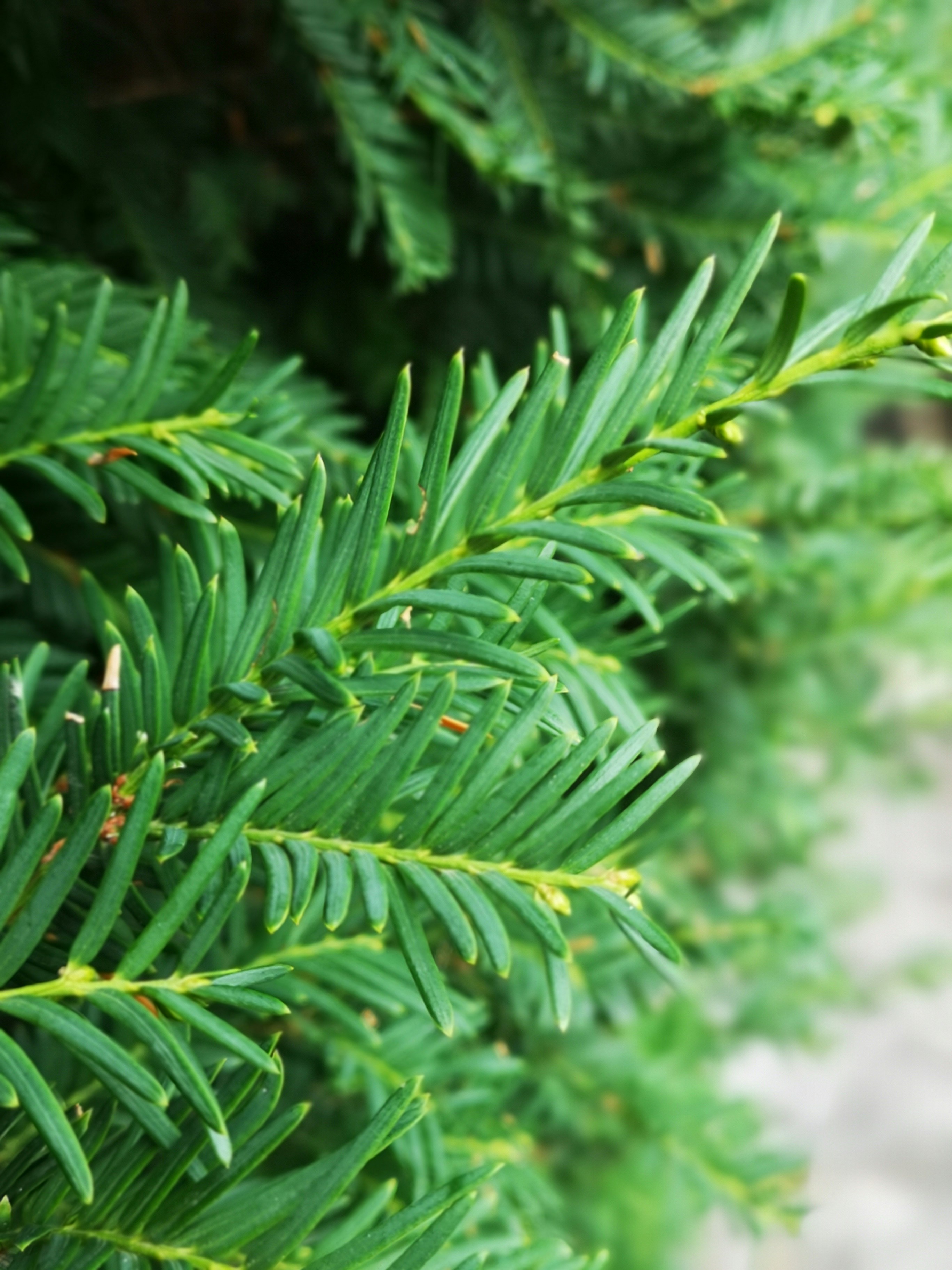 Photo by dilettadavolio